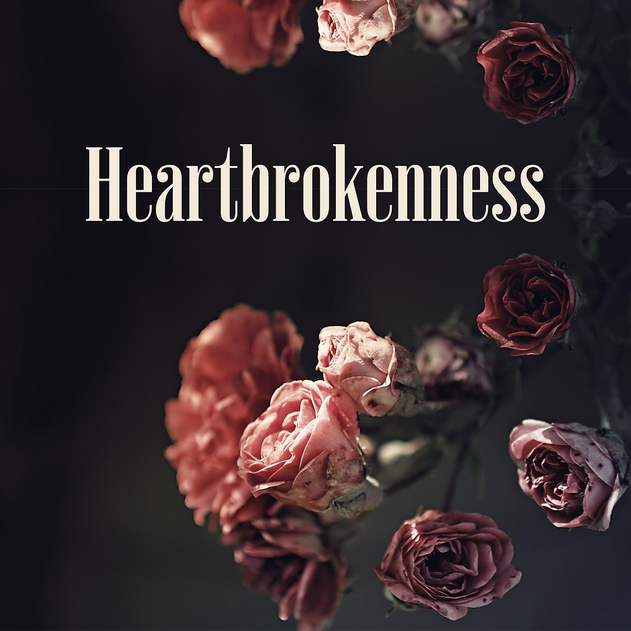 Постер альбома Heartbrokenness