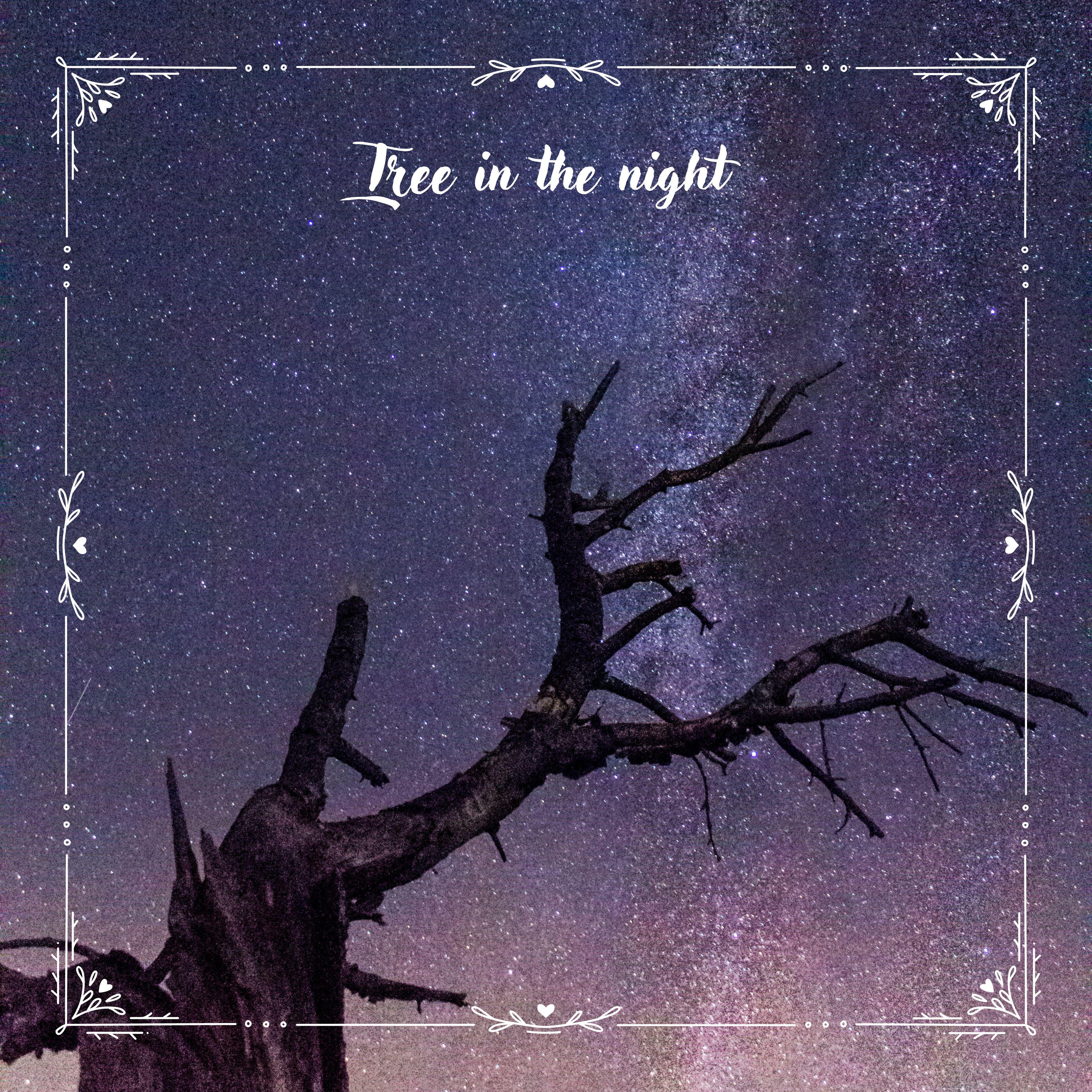 Постер альбома Tree in the night
