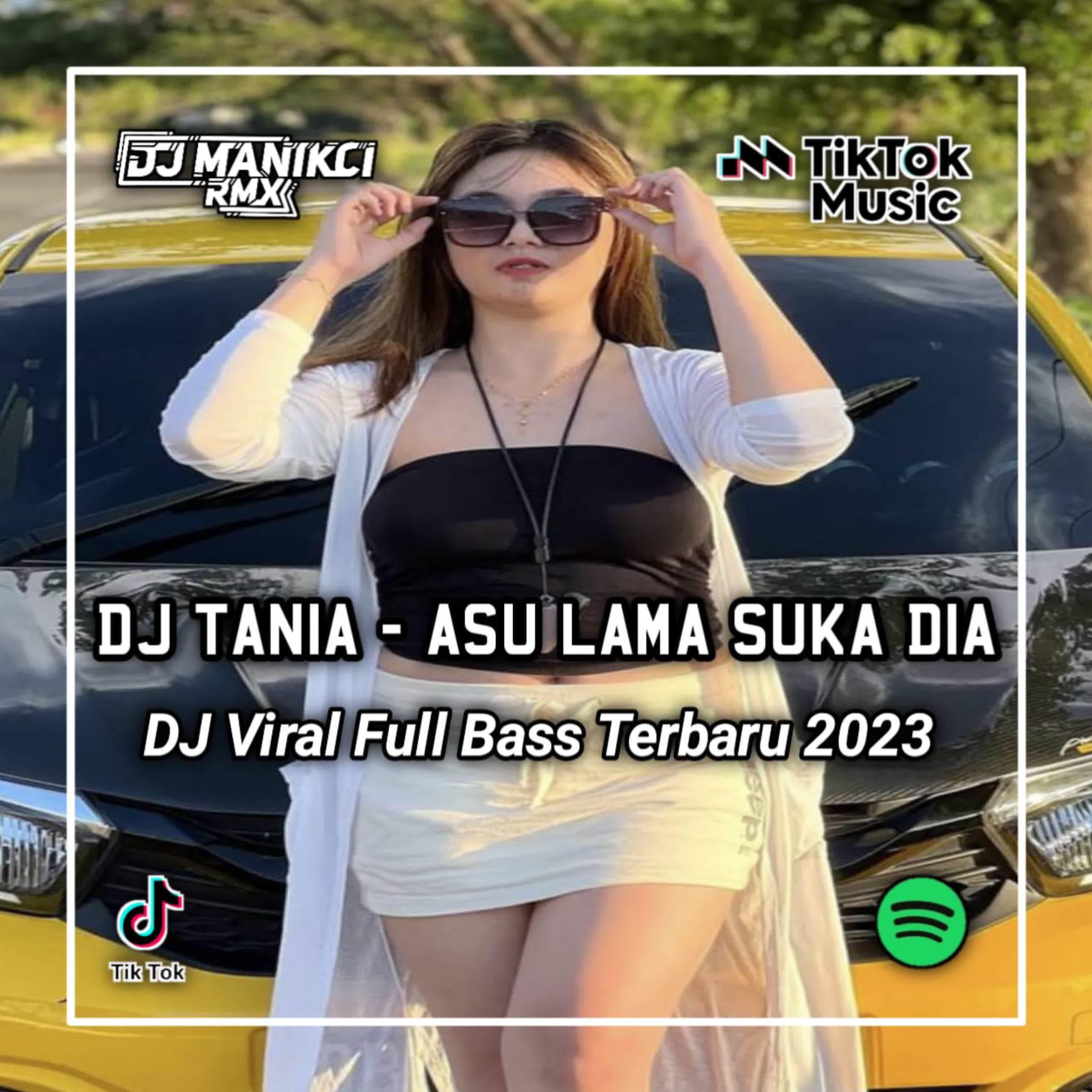 Постер альбома DJ Tania Instrumen