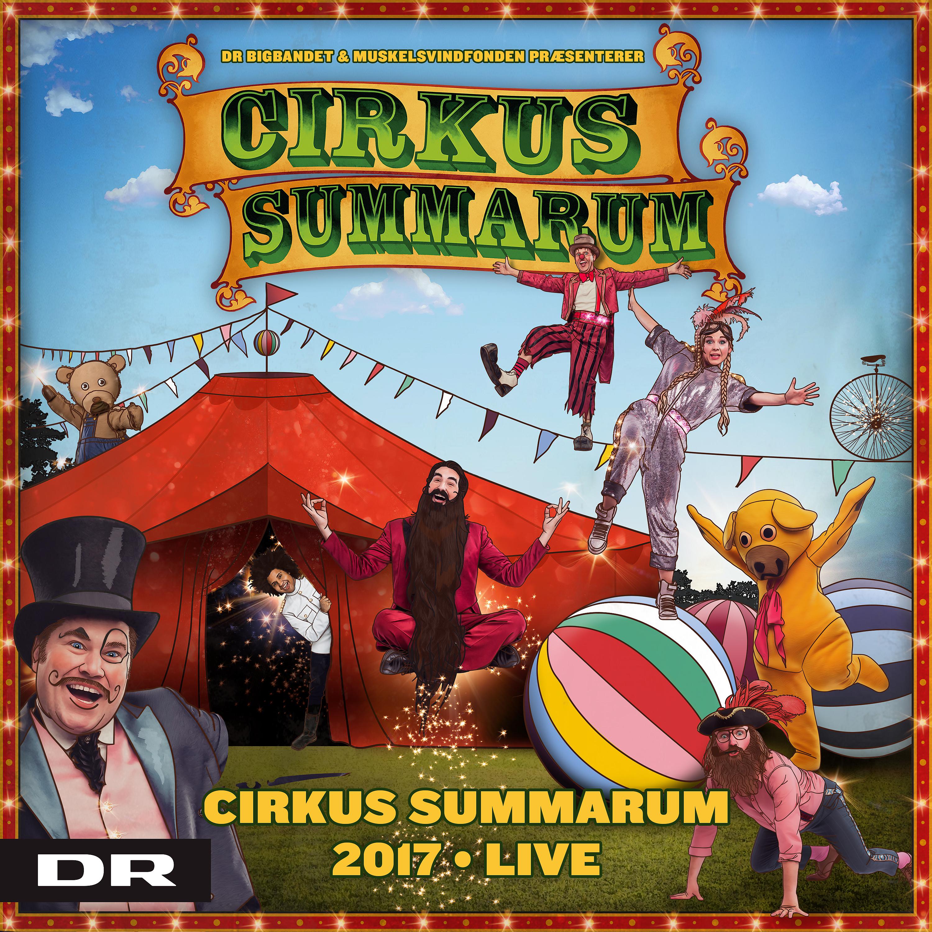 Постер альбома Cirkus Summarum 2017 (Live)