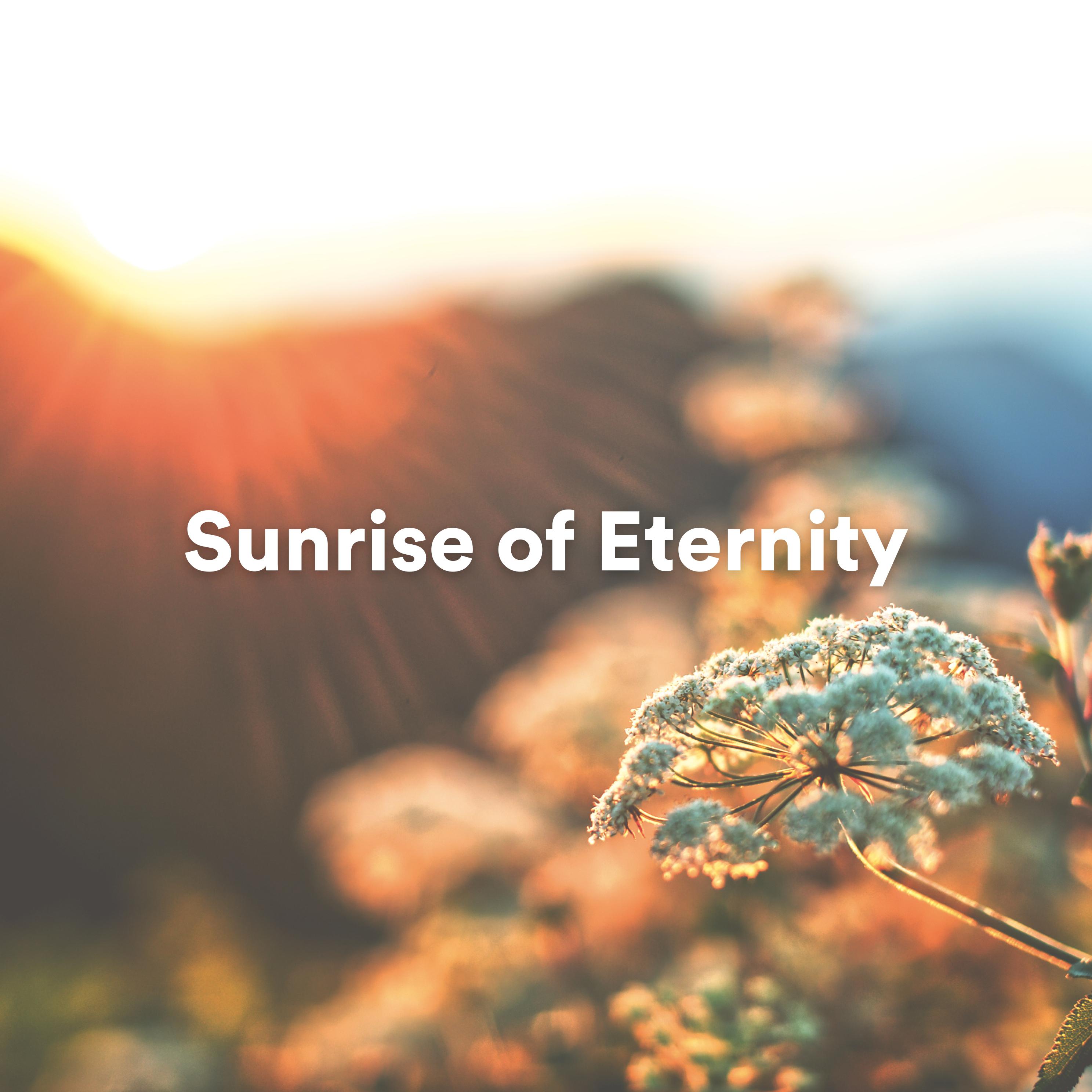 Постер альбома Sunrise of Eternity