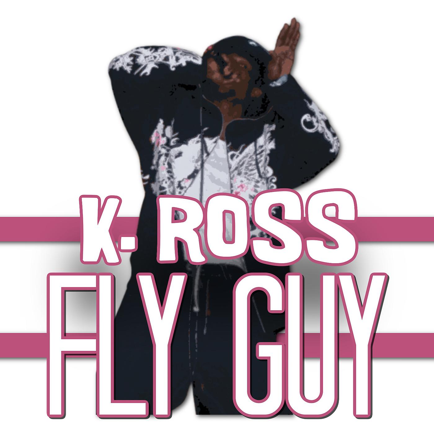 Постер альбома Fly Guy