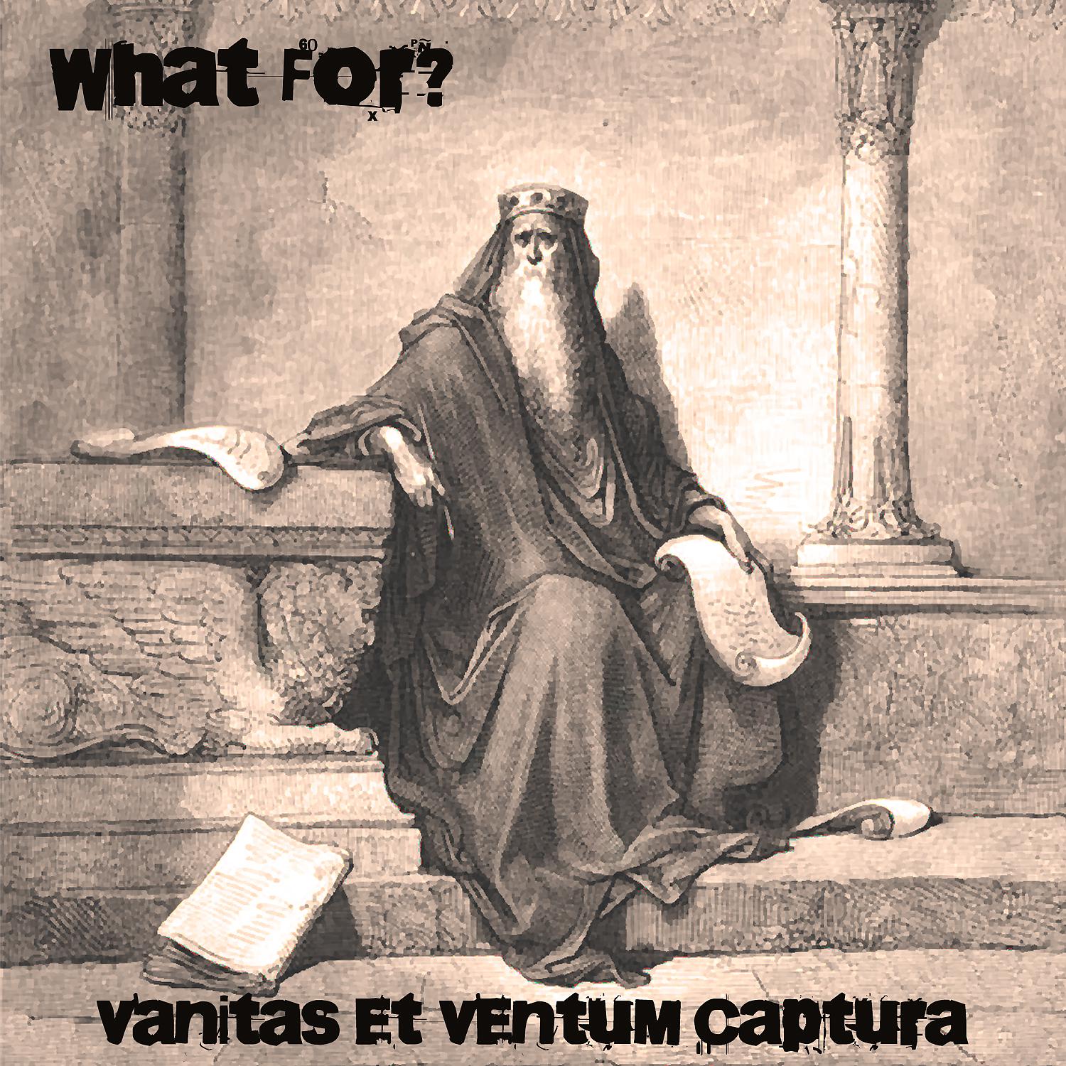Постер альбома Vanitas Et Ventum Captura