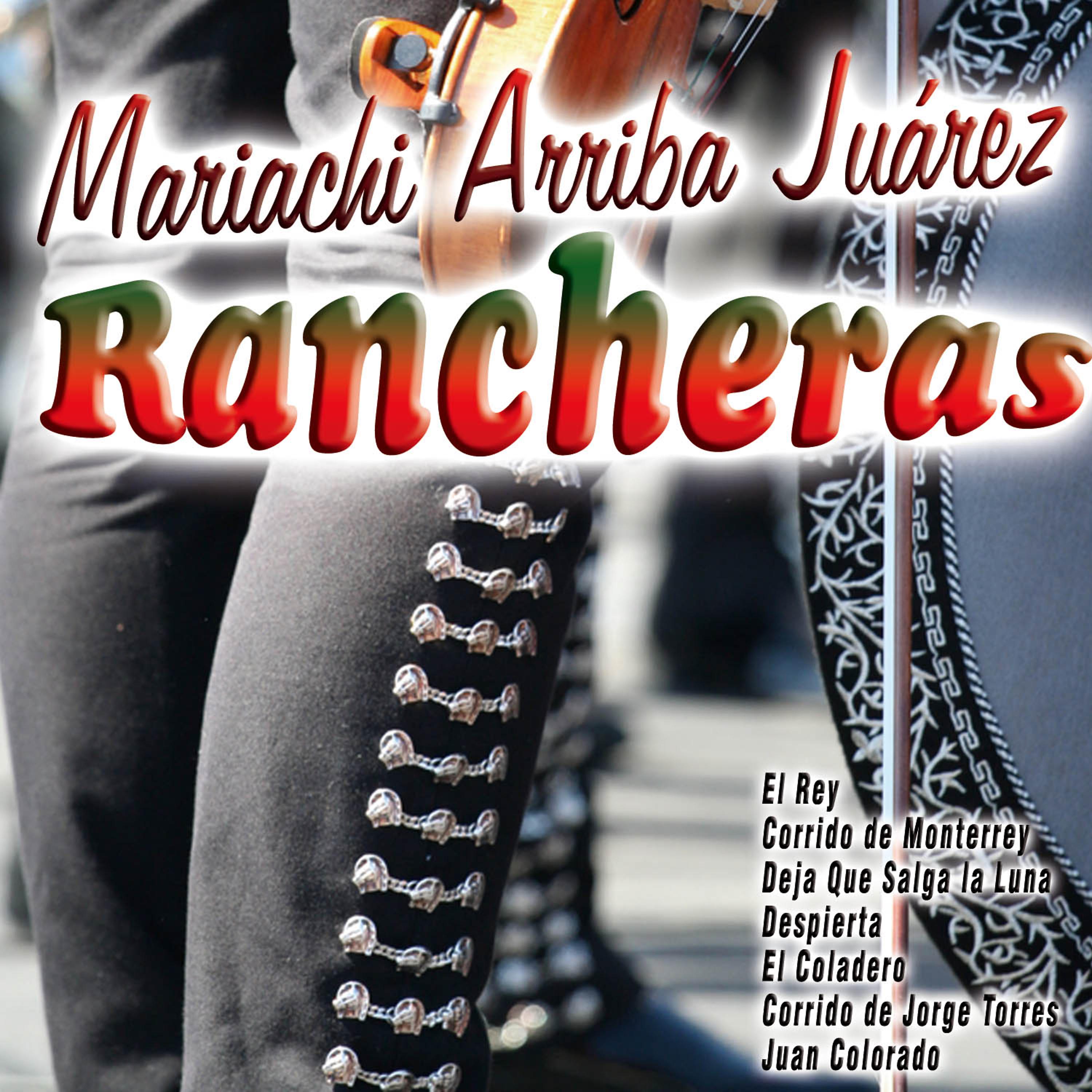 Постер альбома Mariachi Arriba Juárez - Rancheras