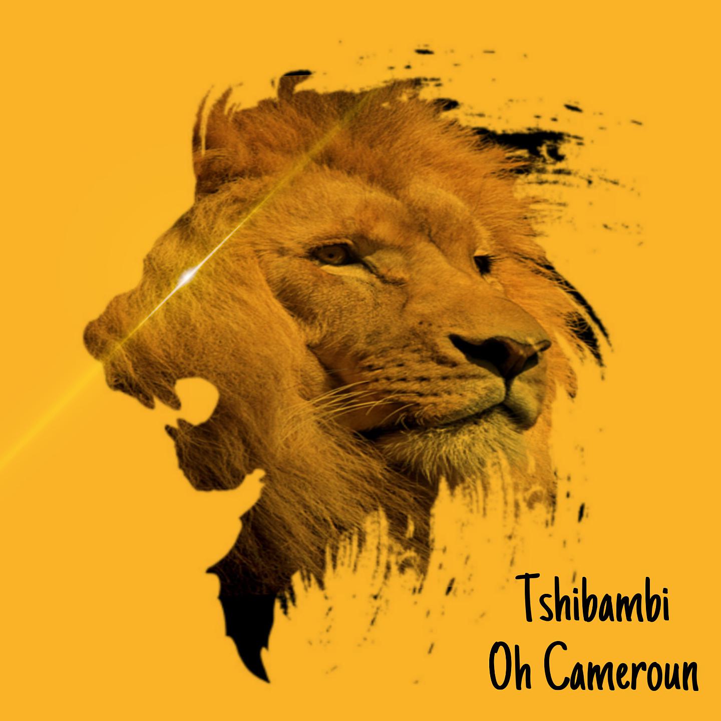 Постер альбома Oh cameroun
