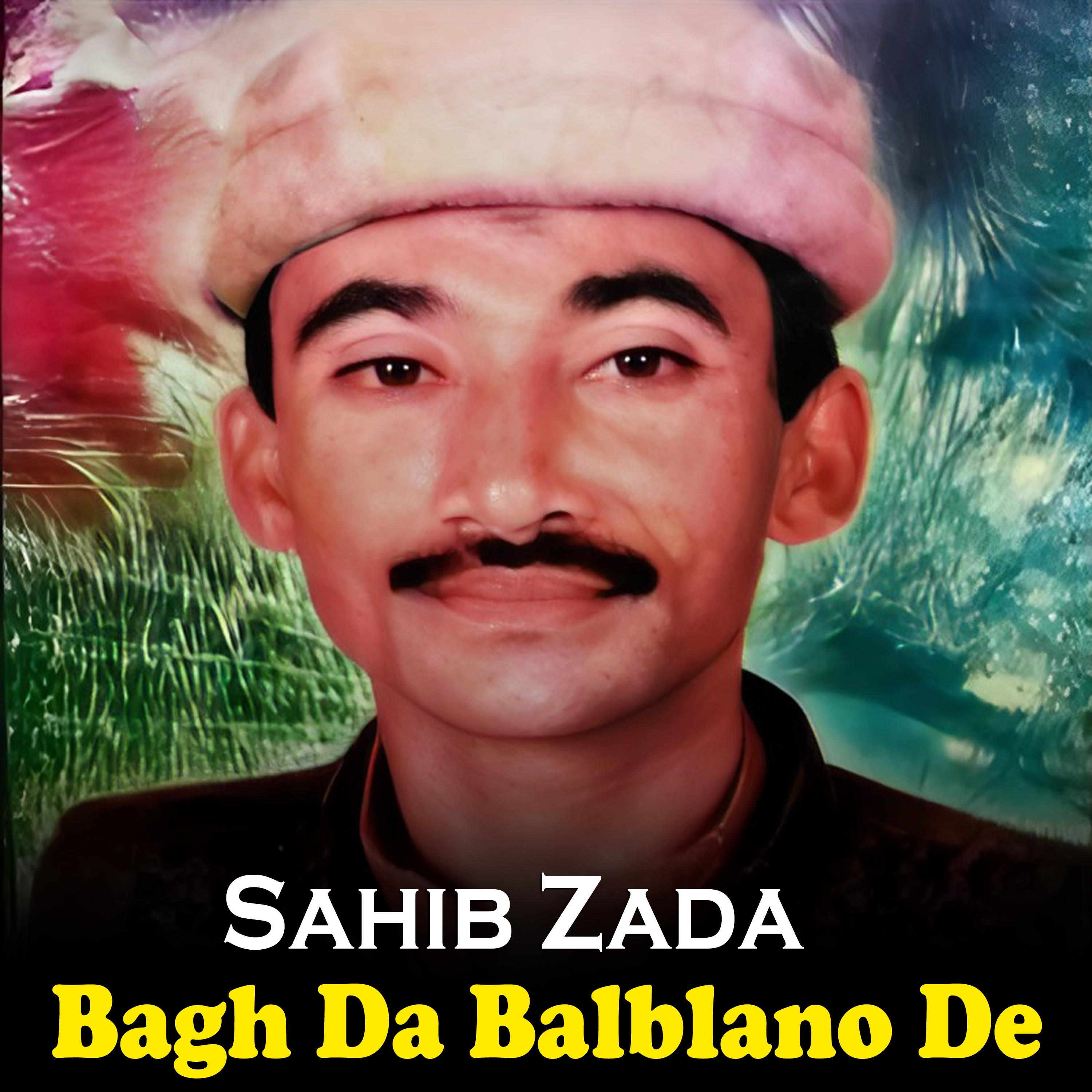 Постер альбома Bagh Da Balblano De