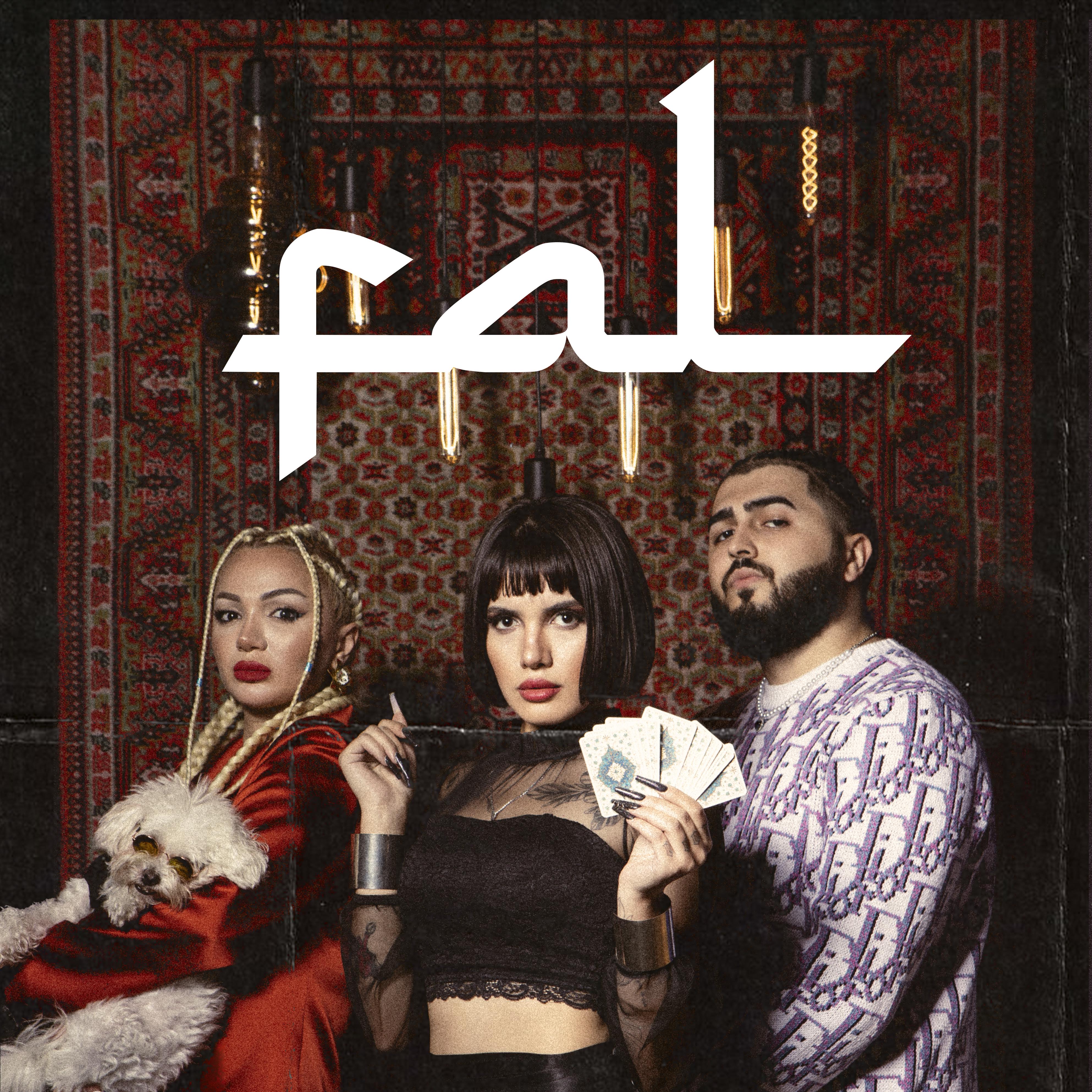 Постер альбома Fal