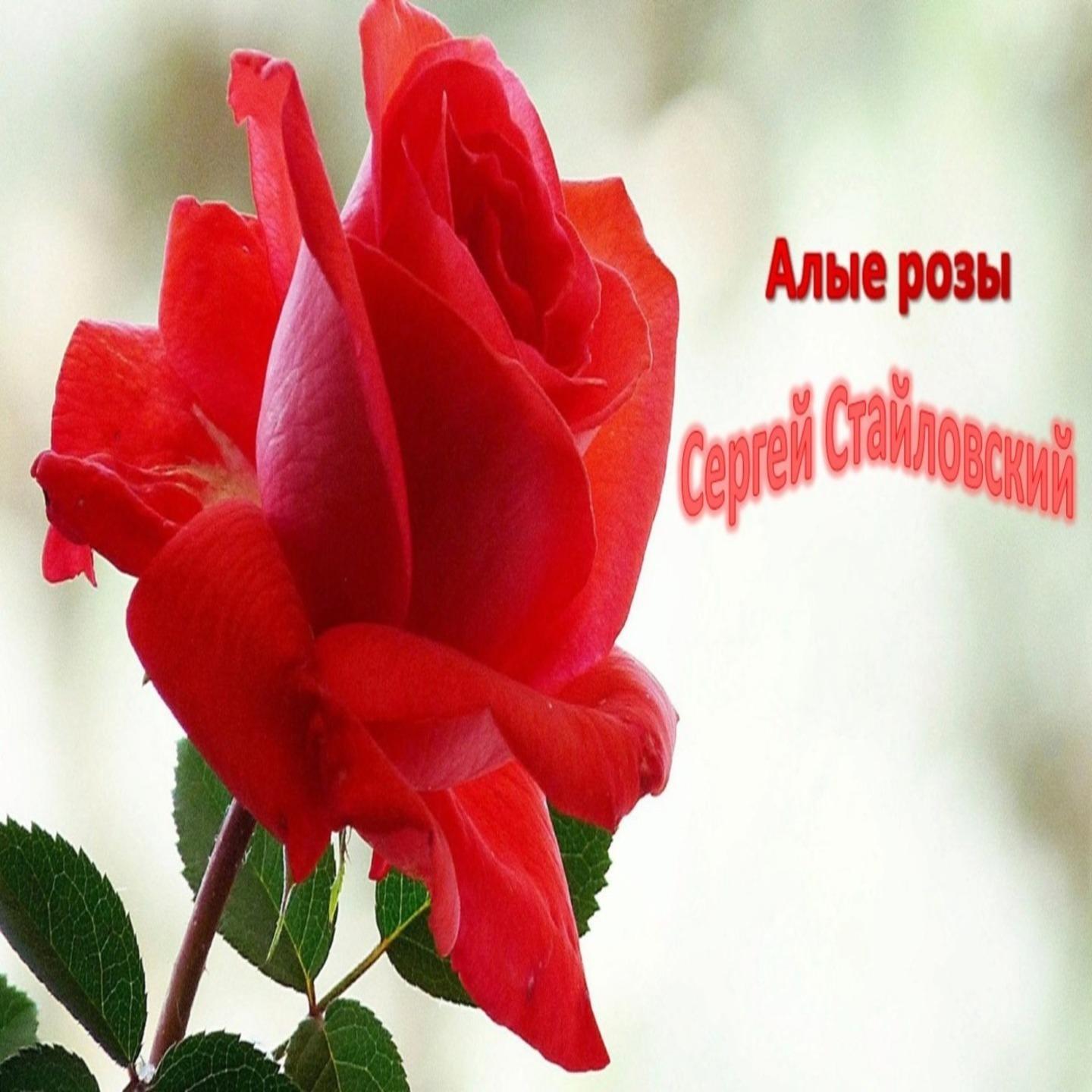 Постер альбома Алые розы