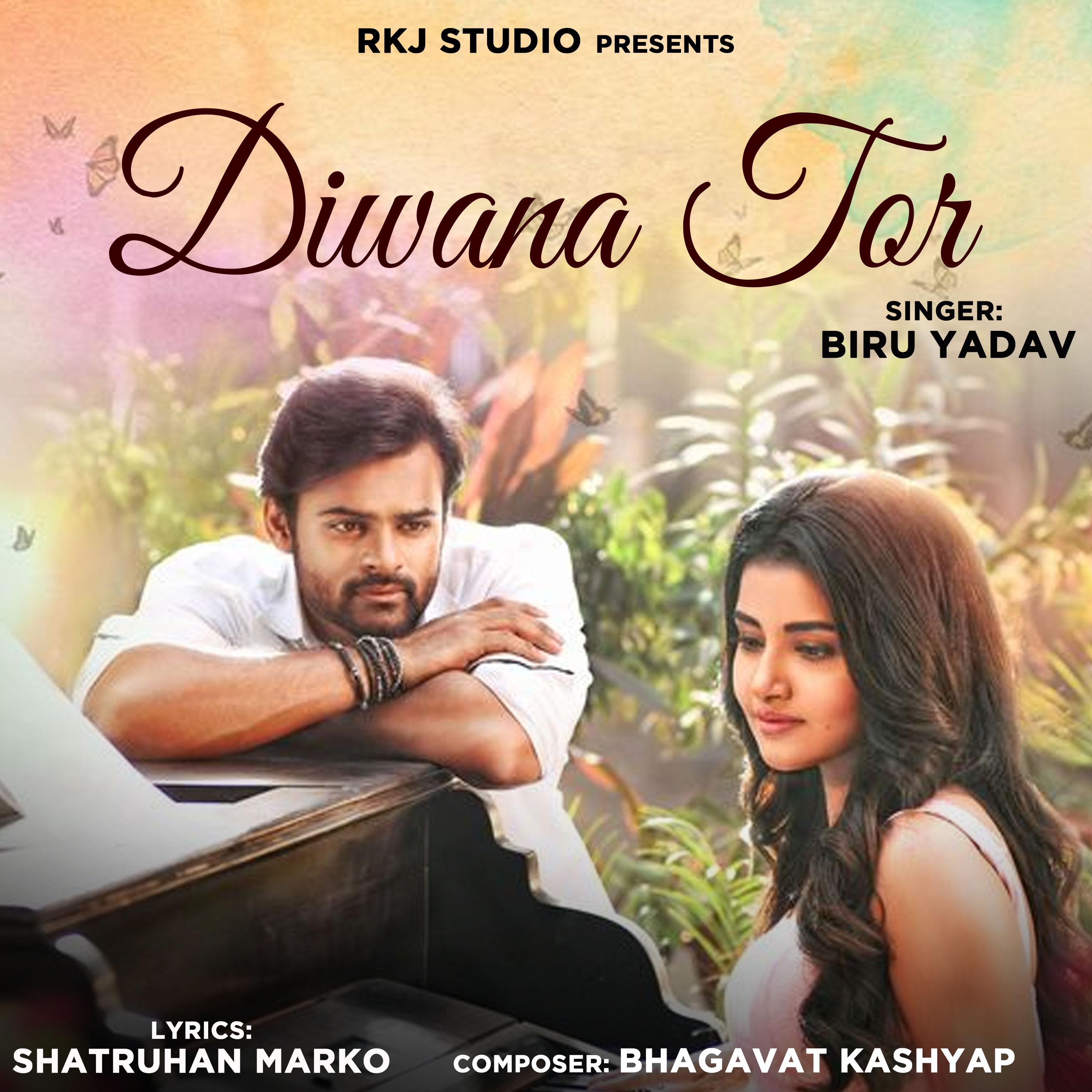 Постер альбома Diwana Tor