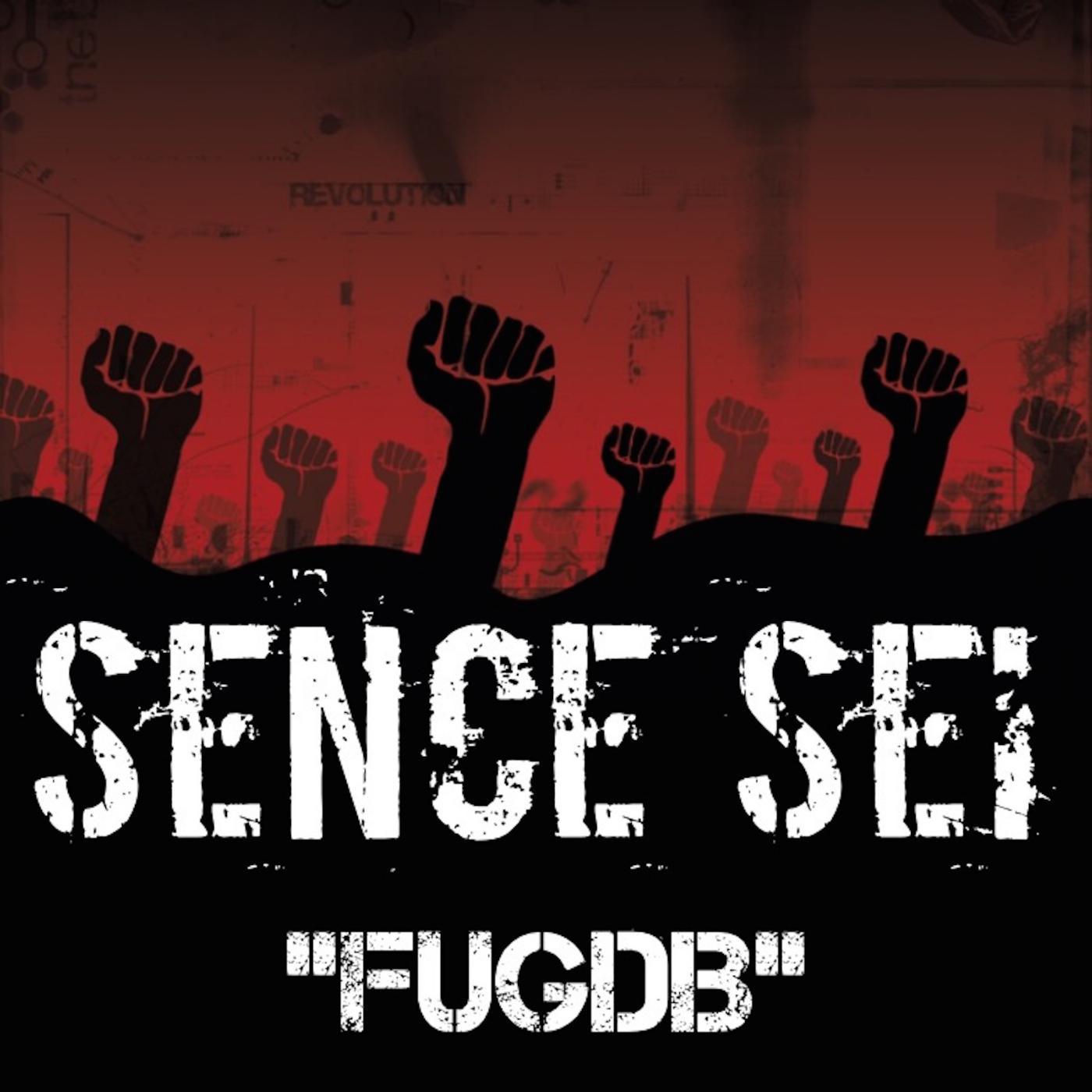 Постер альбома Fugdb (feat. DJ Ziggi)