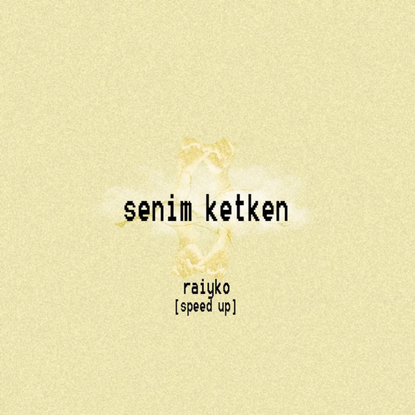 Постер альбома Senim ketken