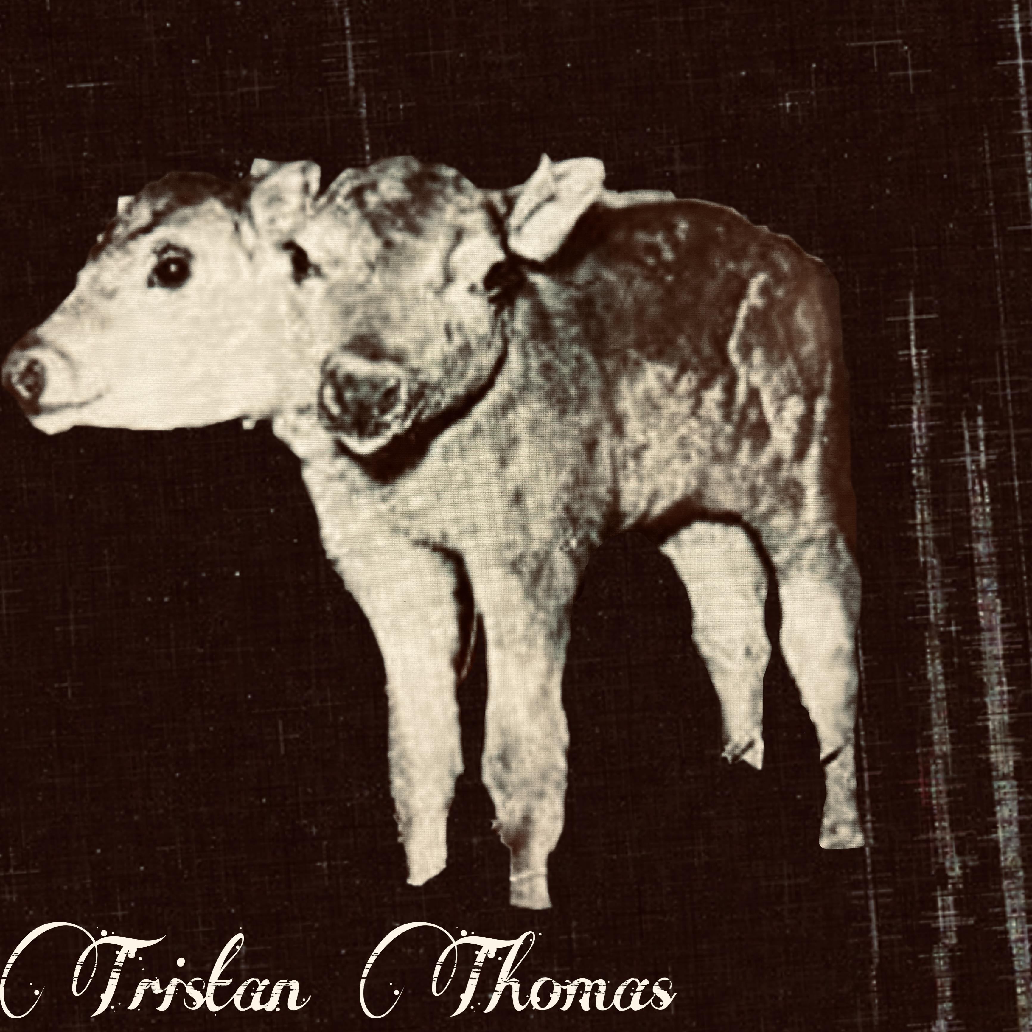 Постер альбома Two Headed Calf