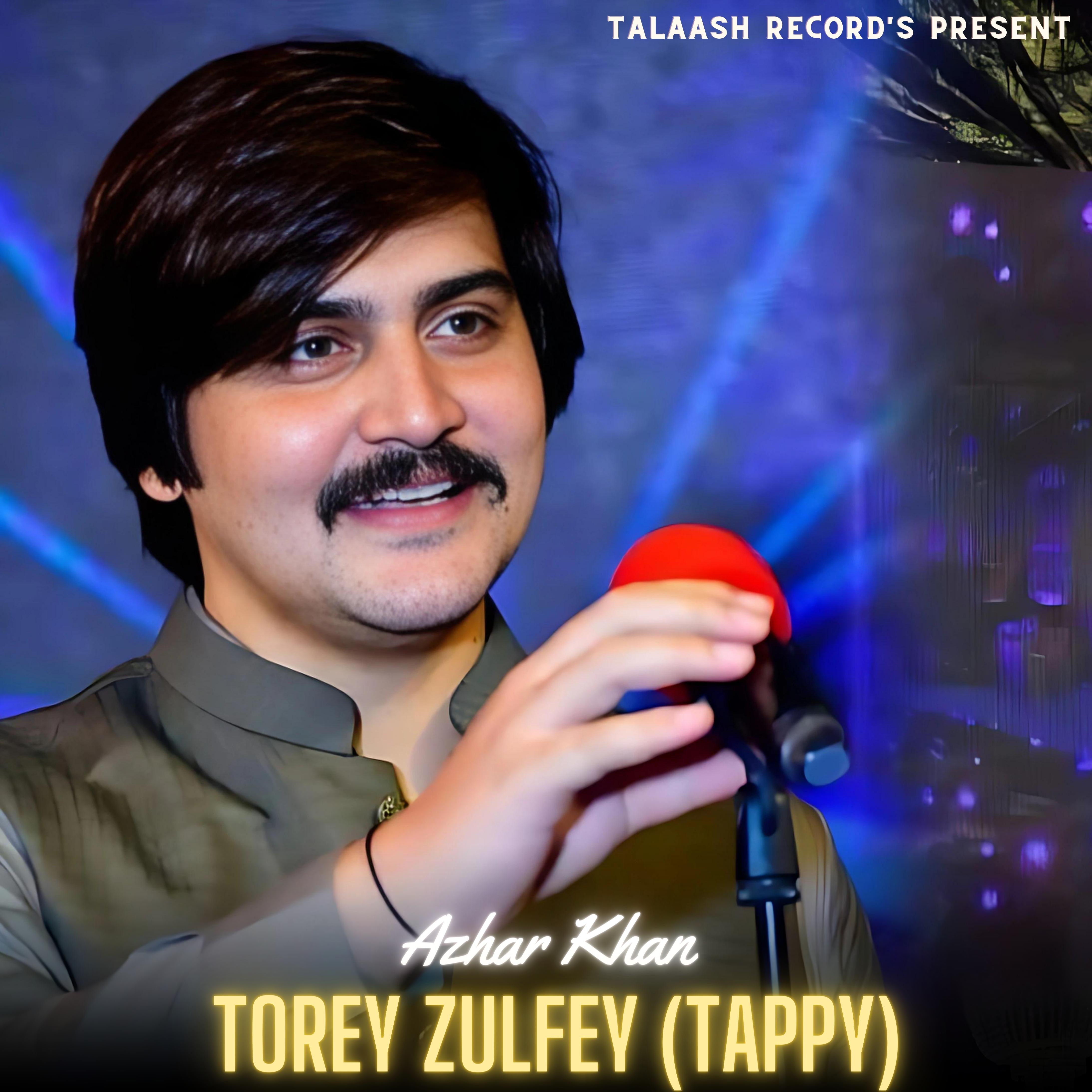 Постер альбома Torey Zulfey (Tappy)