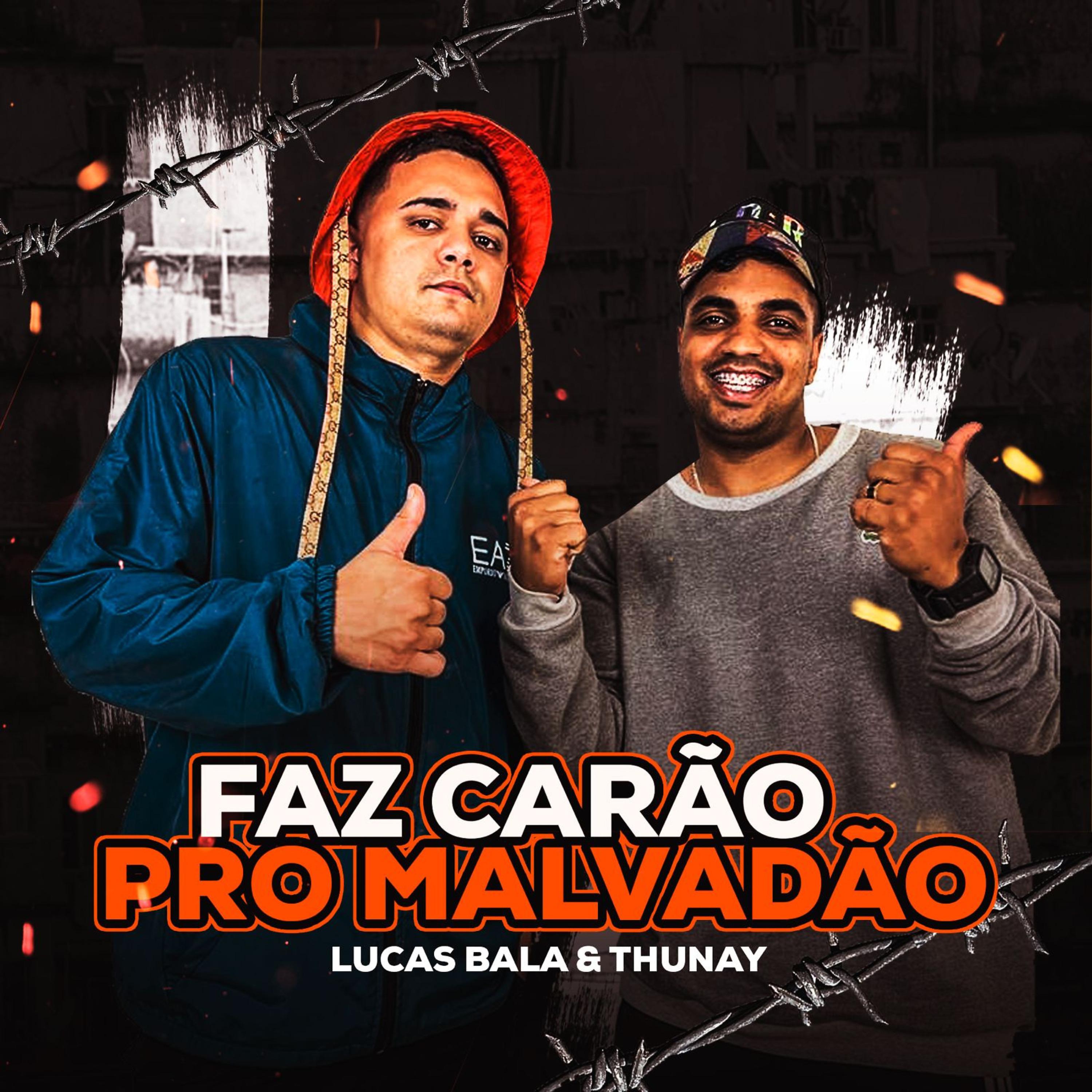 Постер альбома Faz Carão Pros Malvadão