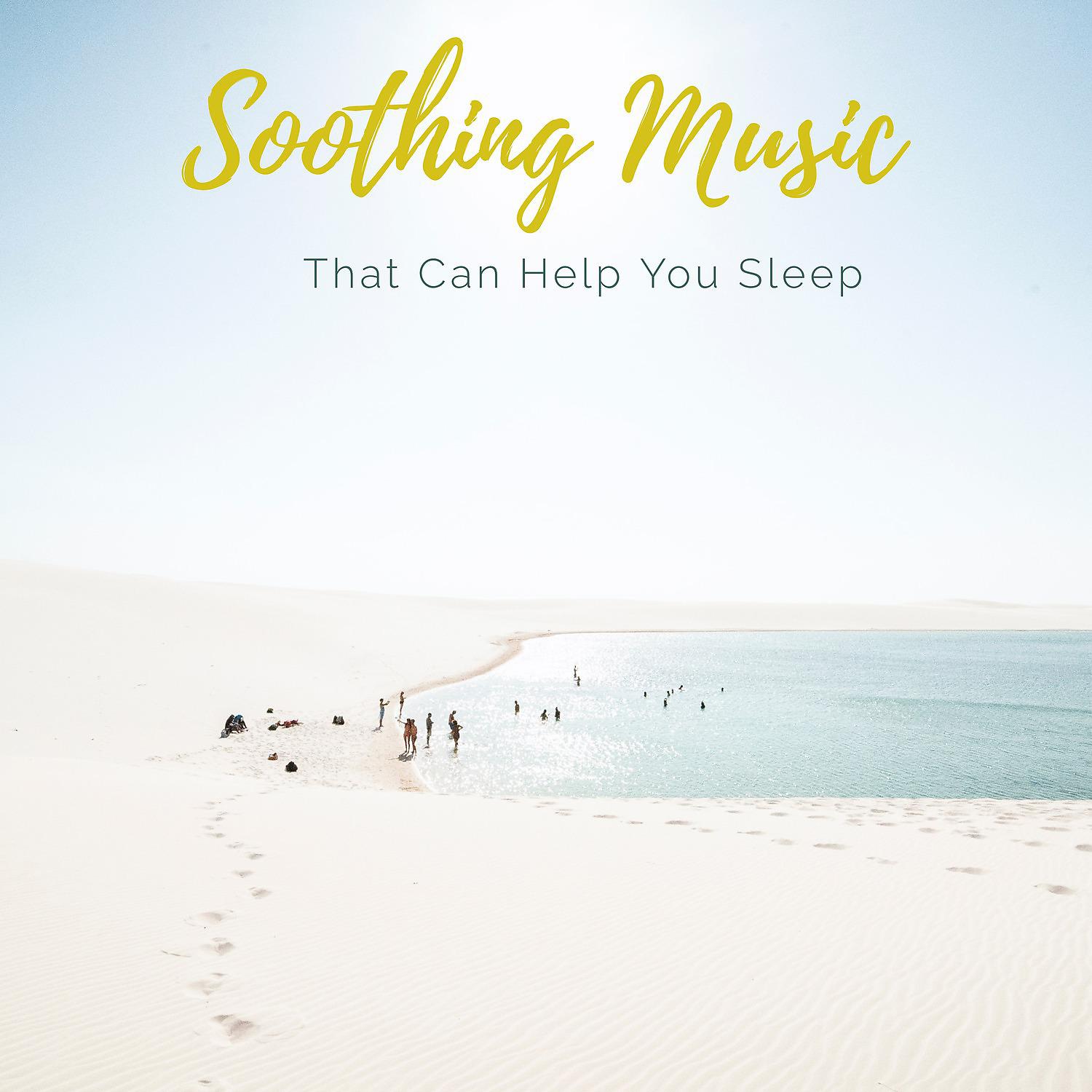 Постер альбома Soothing Music That Can Help You Slep