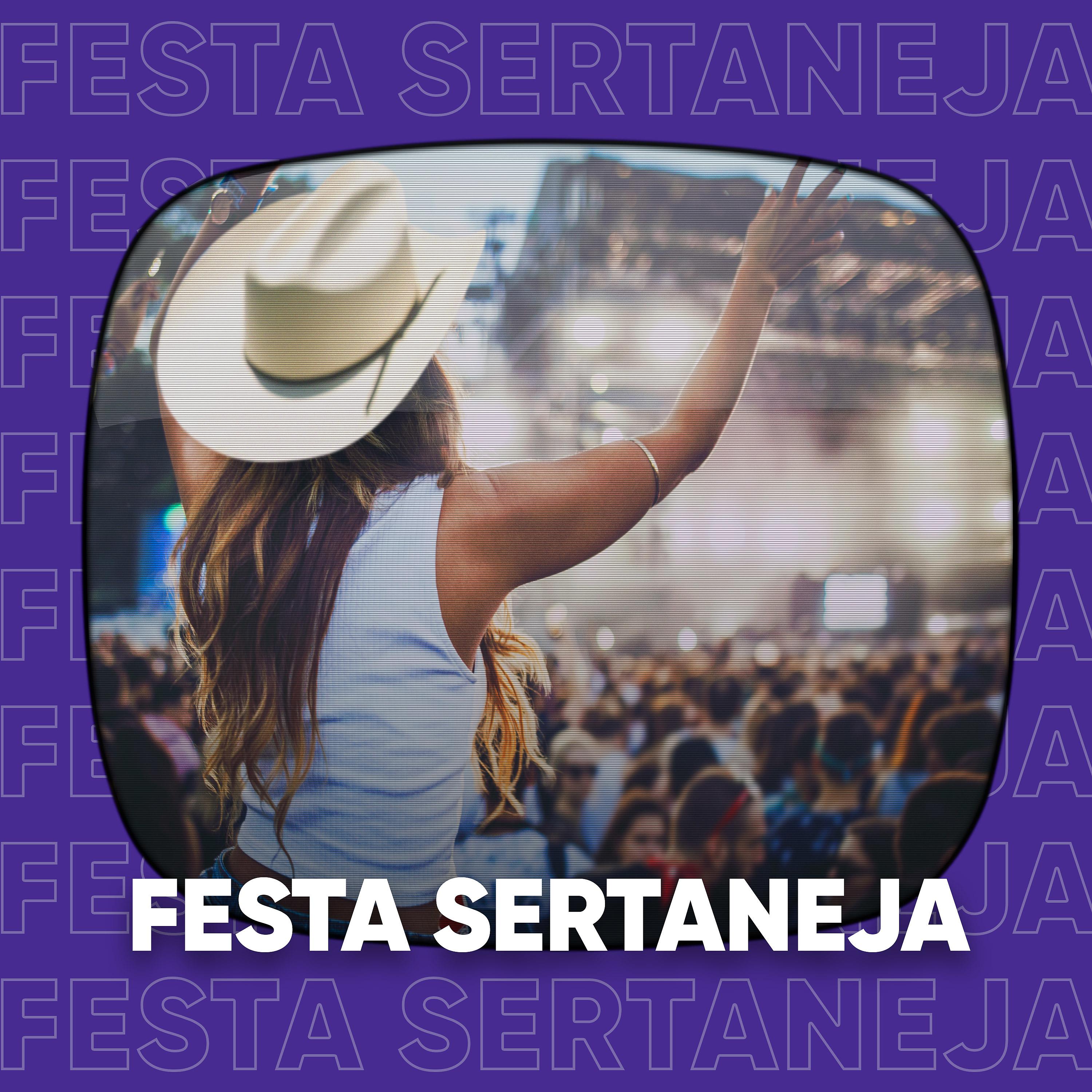 Постер альбома Festa Sertaneja (Ao Vivo)
