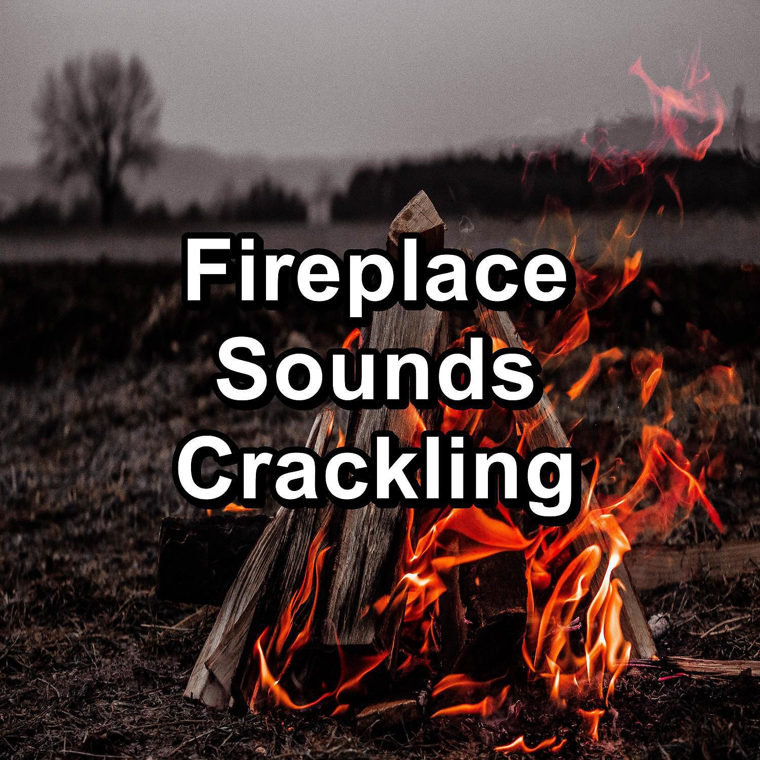 Постер альбома Fireplace Sounds Crackling