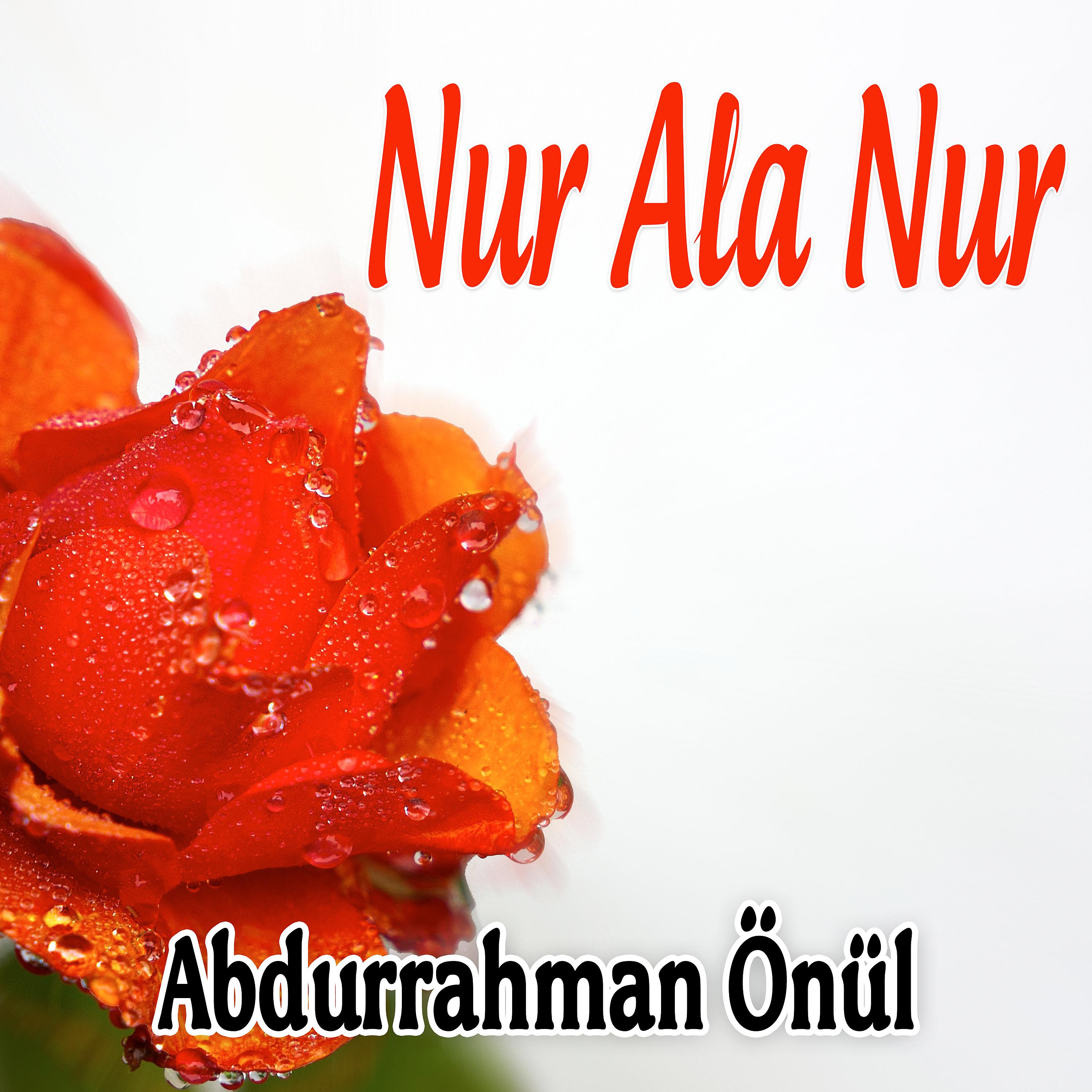 Постер альбома Nur Ala Nur