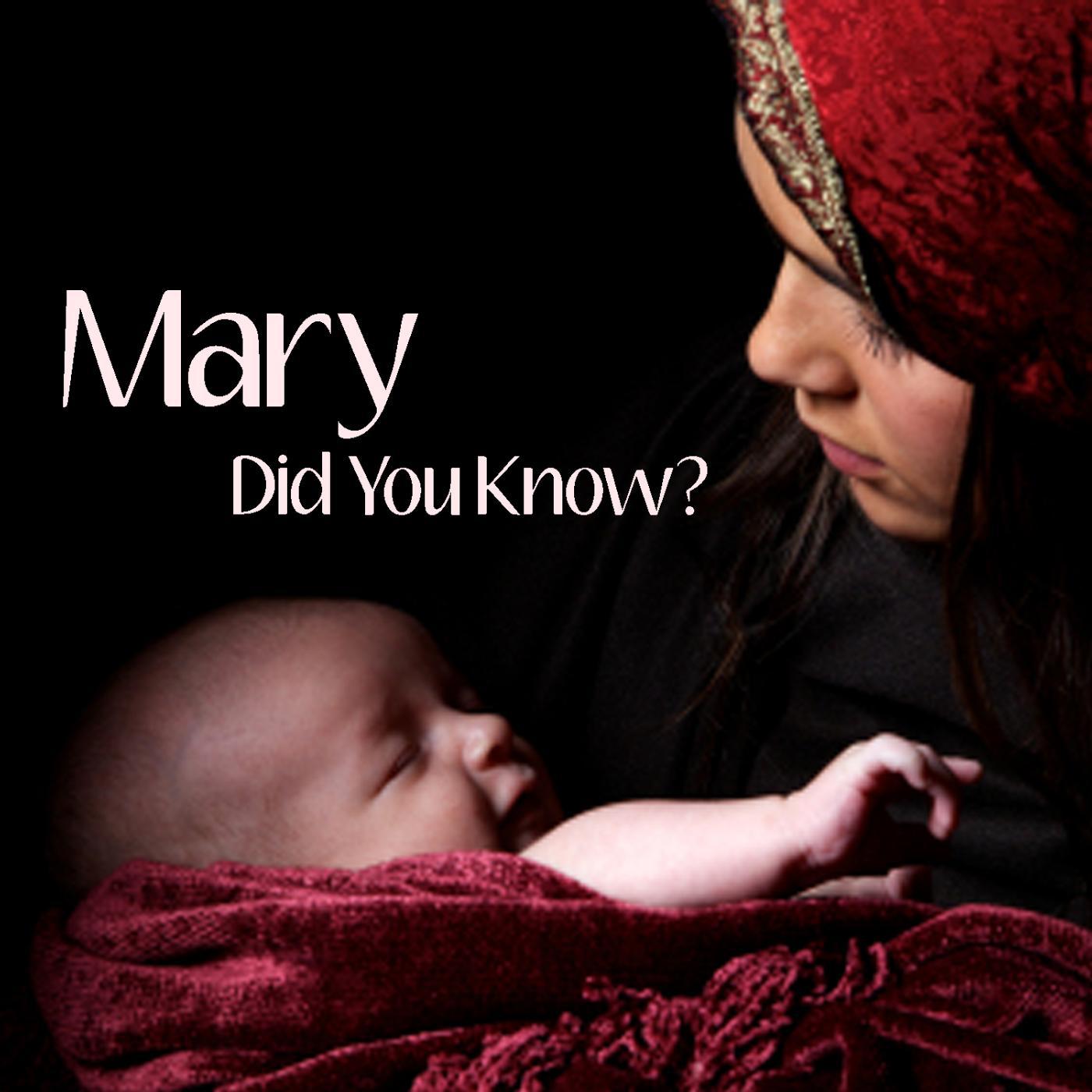 Постер альбома Mary Did You Know?