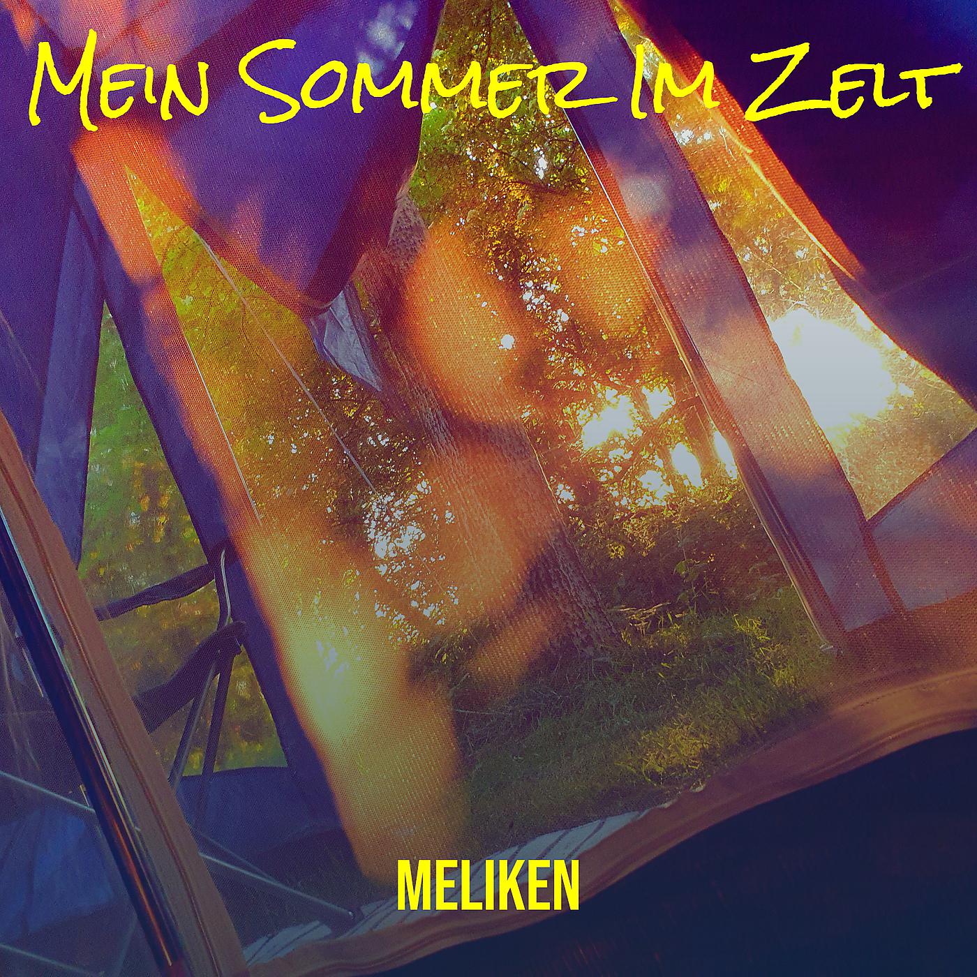 Постер альбома Mein Sommer Im Zelt