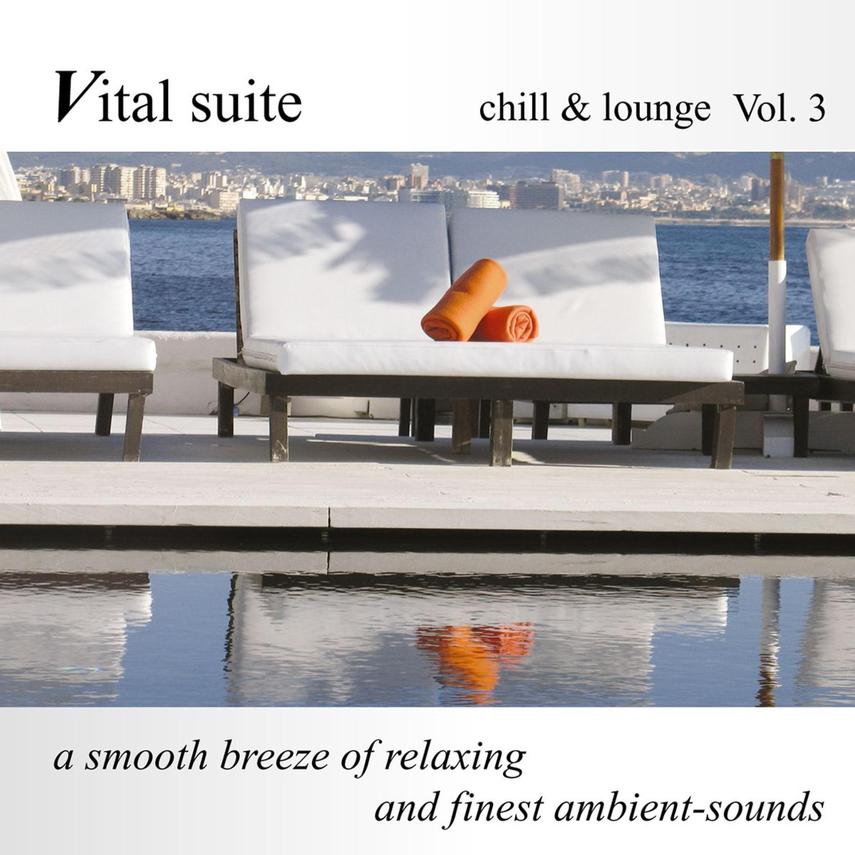 Постер альбома Vital Suite Chill & Lounge, Vol. 3 (Finest Ambient Sounds)