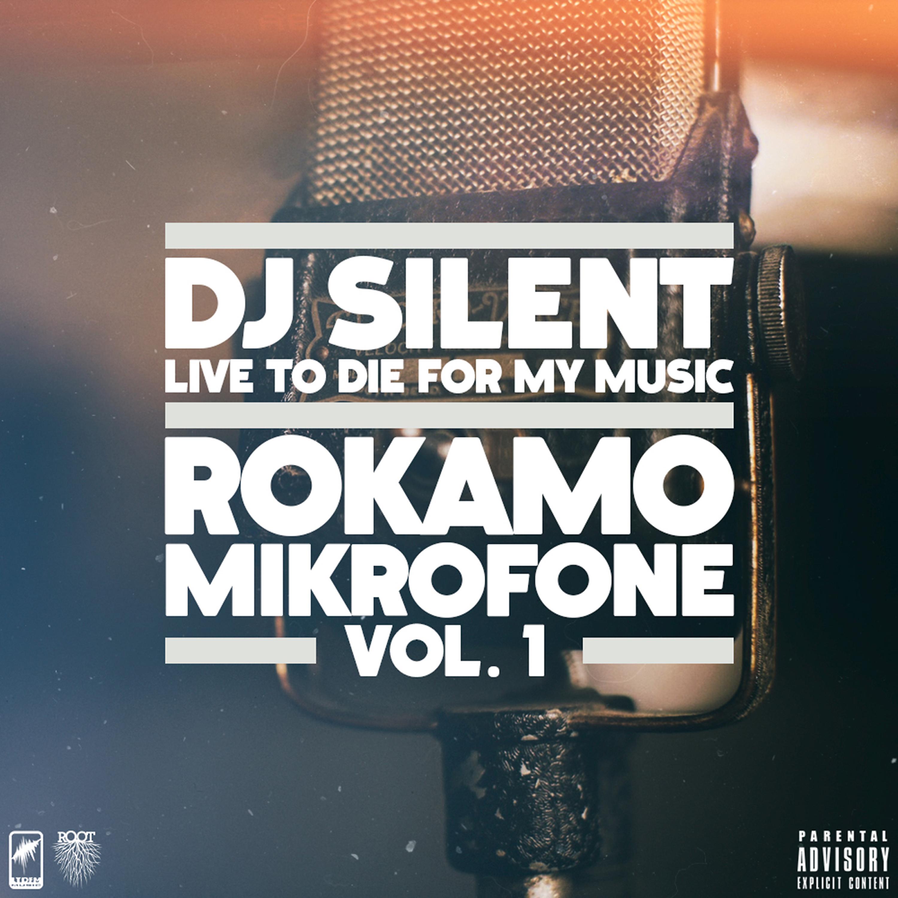 Постер альбома Rokamo Mikrofone