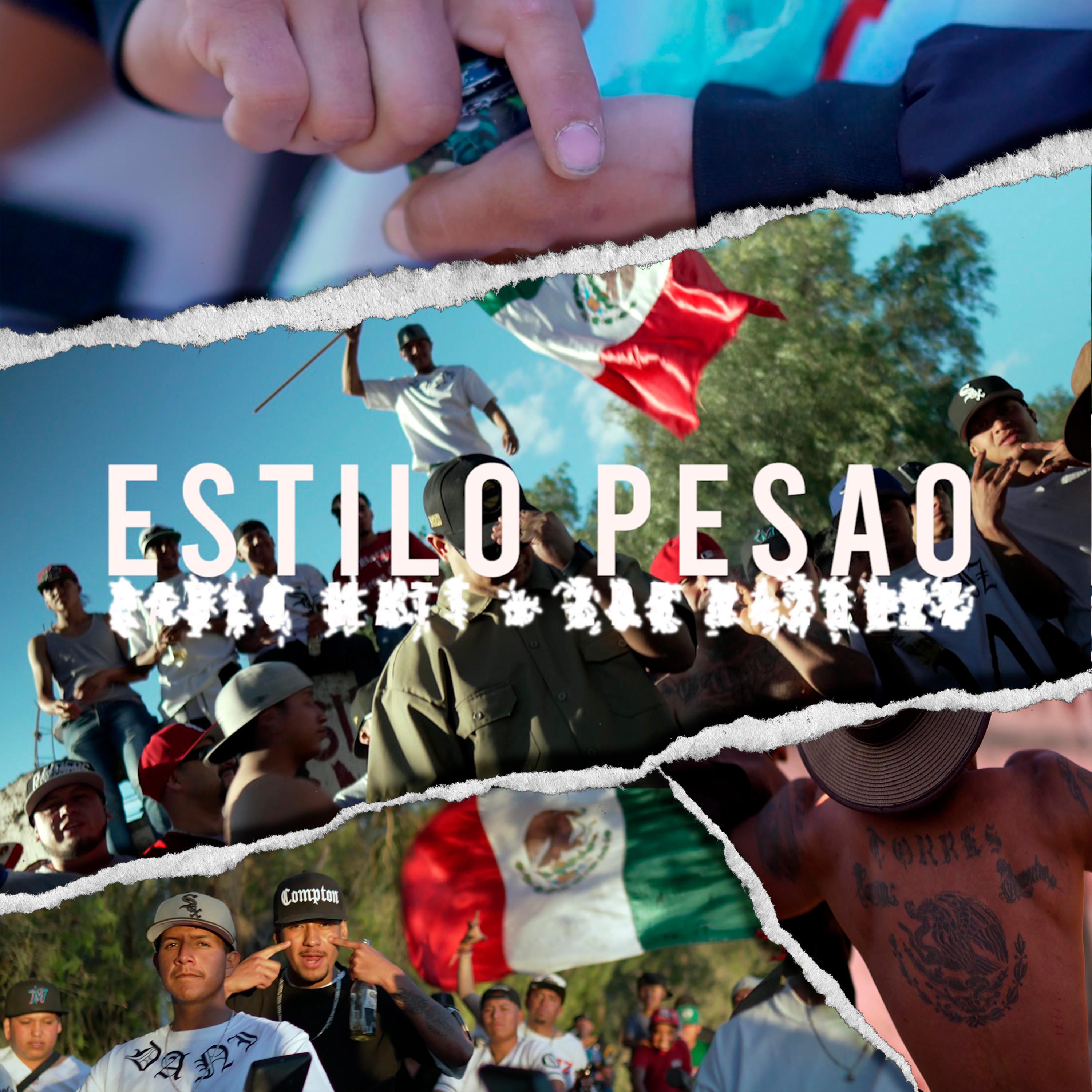 Постер альбома Estilo Pesao