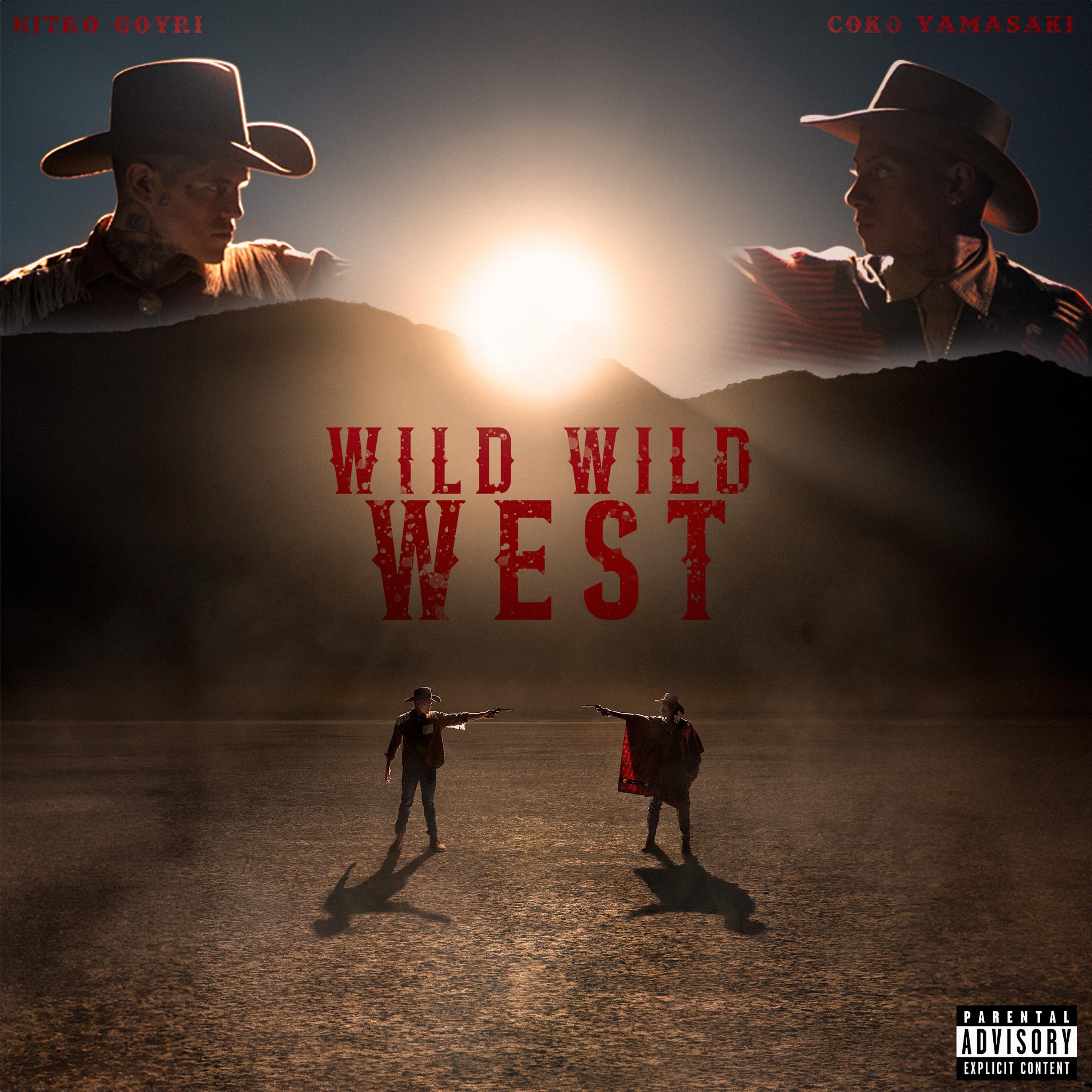 Постер альбома Wild Wild West