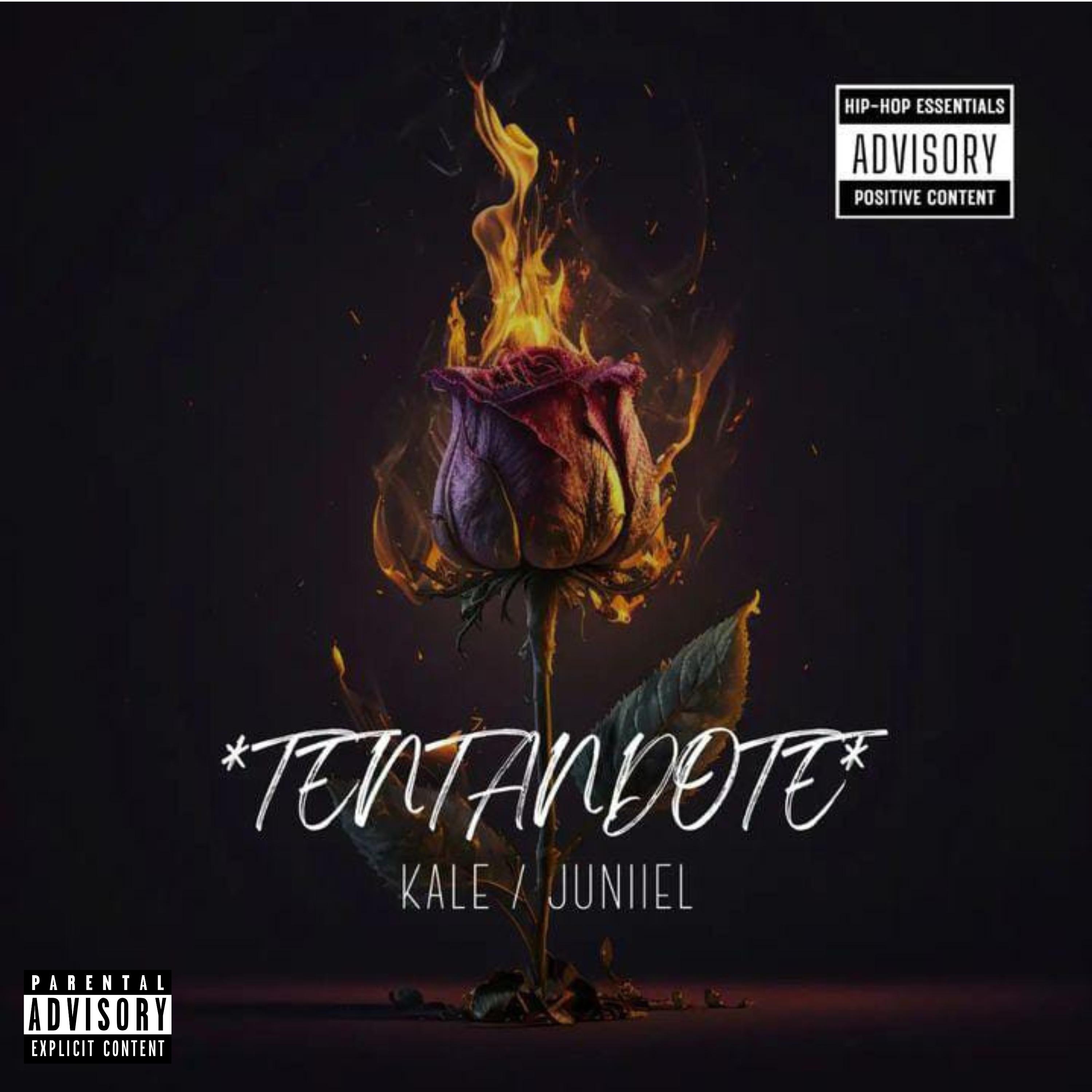 Постер альбома Tentándote