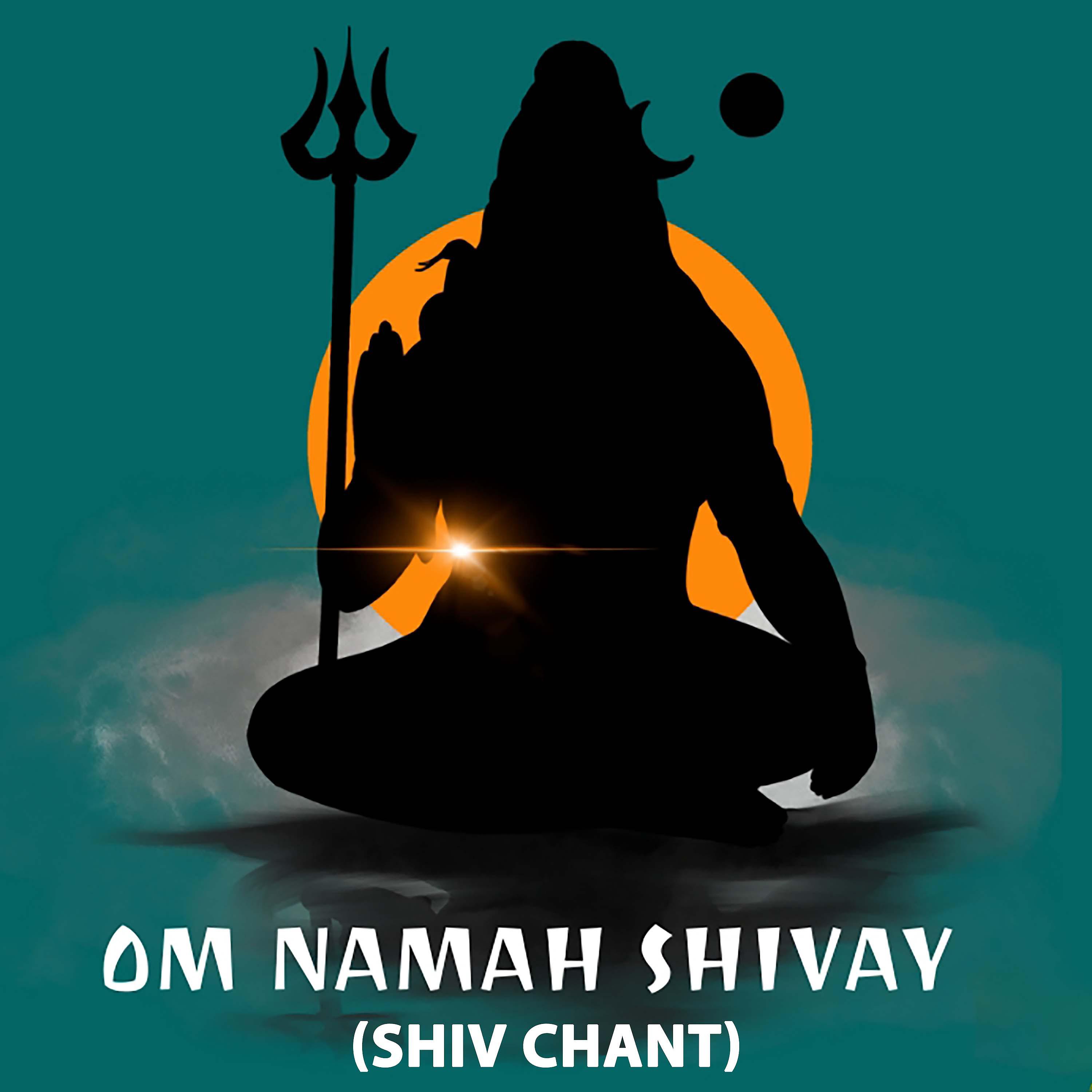 Постер альбома Om Namah Shivay (Shiv Chant)
