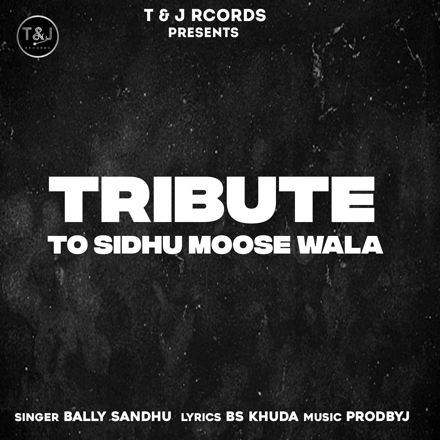 Постер альбома Tribute To Sidhu Moose wala
