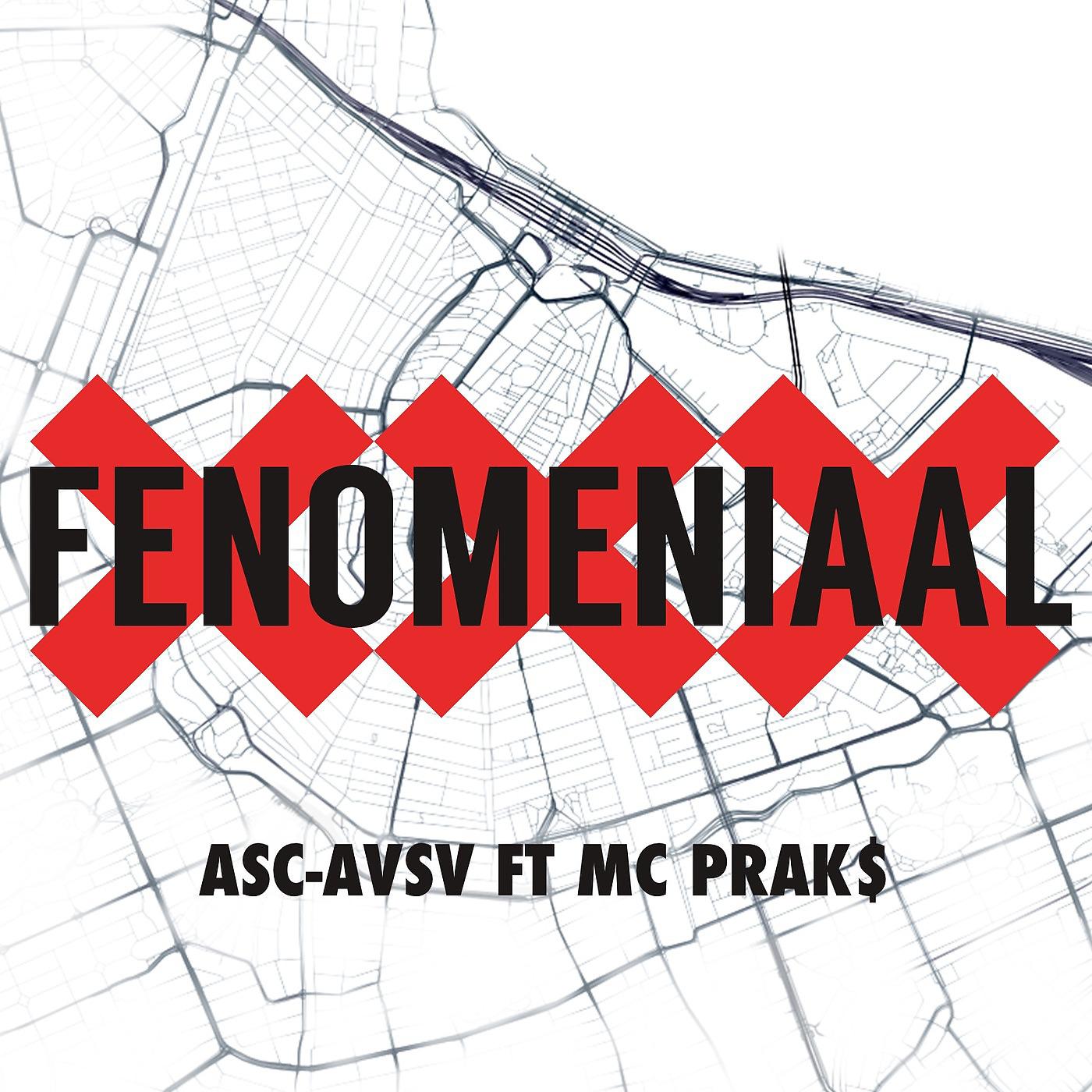 Постер альбома Fenomeniaal (feat. MC Prak$)
