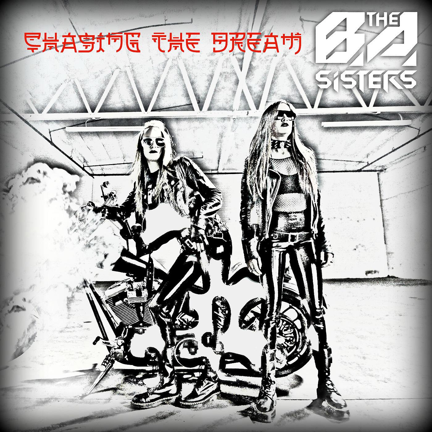 Постер альбома Chasing the Dream