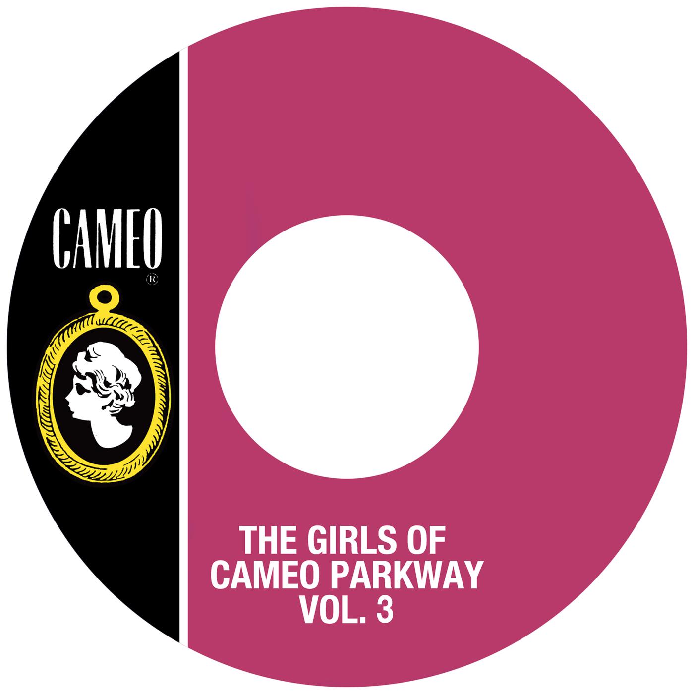 Постер альбома The Girls Of Cameo Parkway Vol. 3
