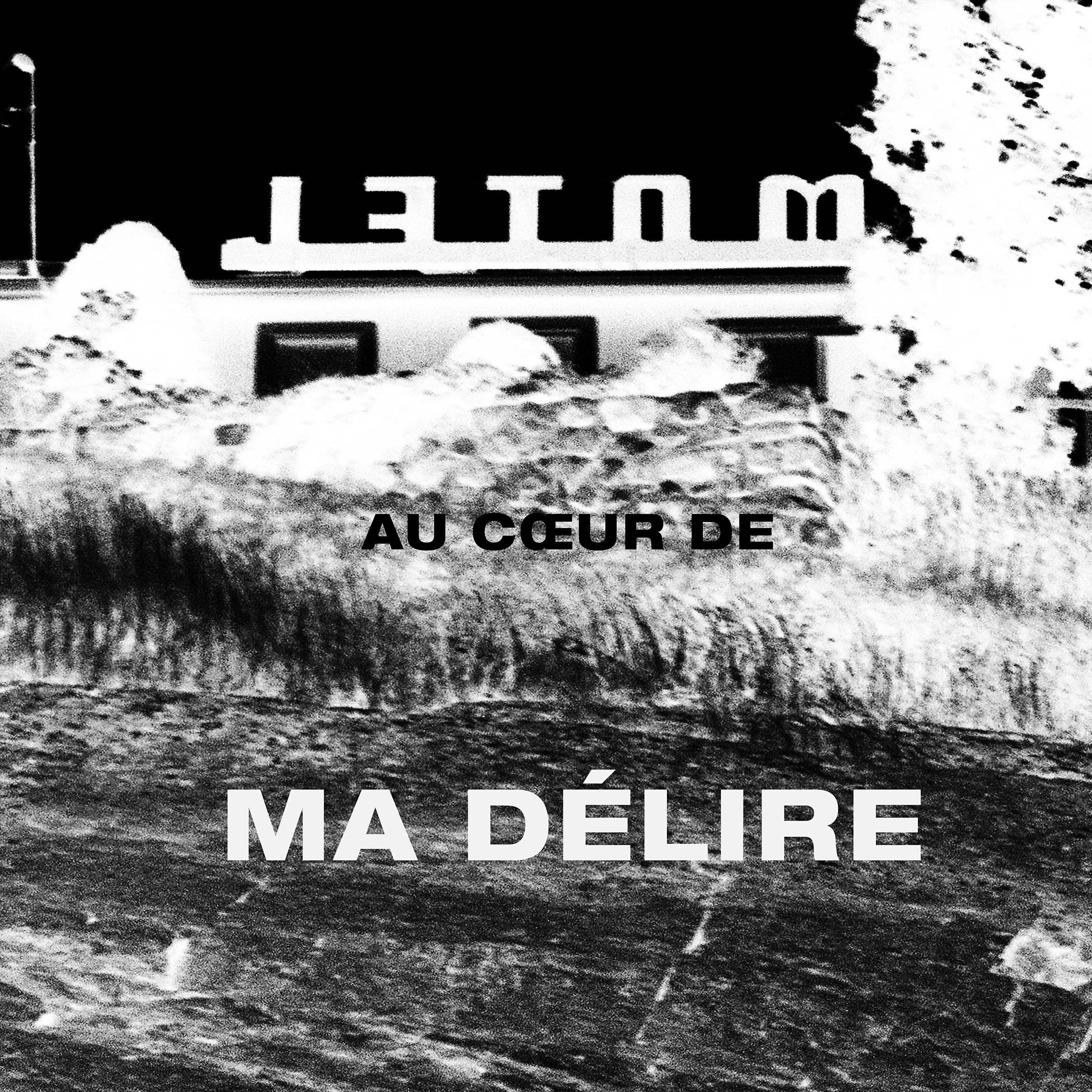 Постер альбома Au coeur de ma délire