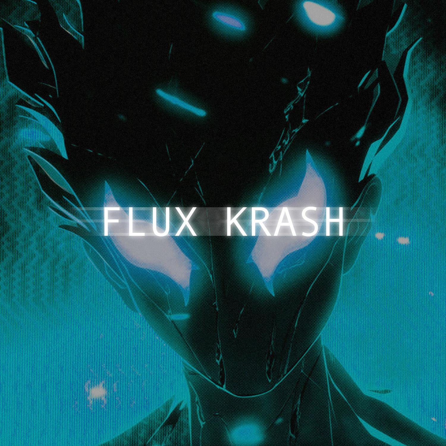 Постер альбома FLUX KRASH
