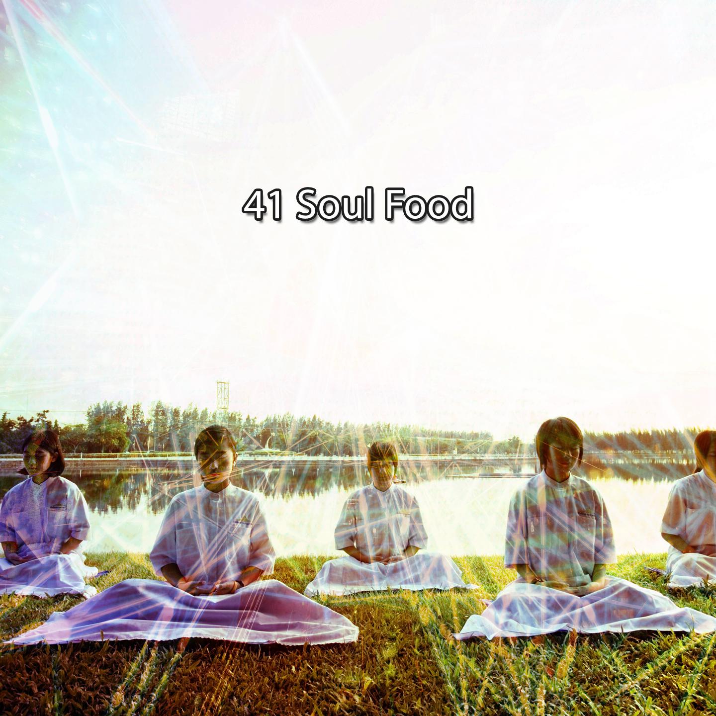 Постер альбома 41 Soul Food