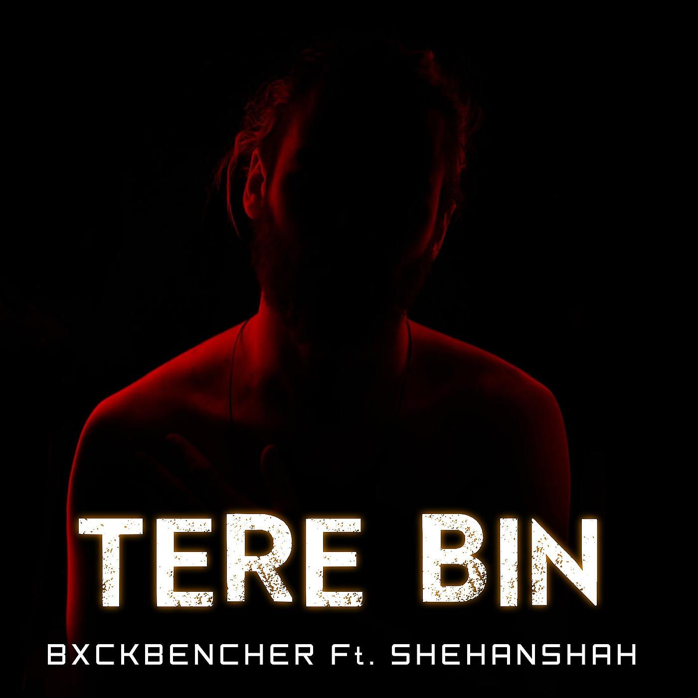 Постер альбома Tere Bin