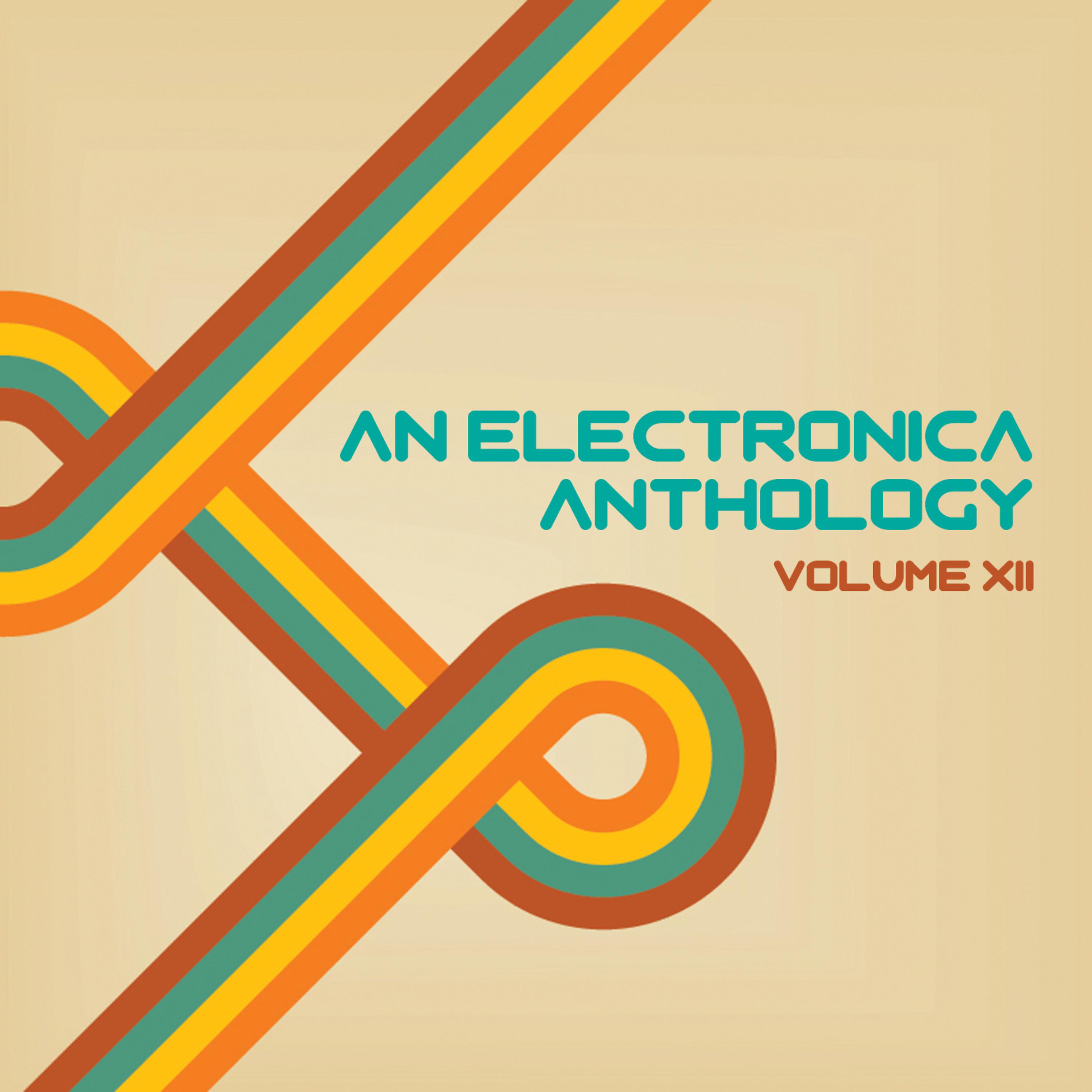 Постер альбома An Electronica Anthology, Vol. 12