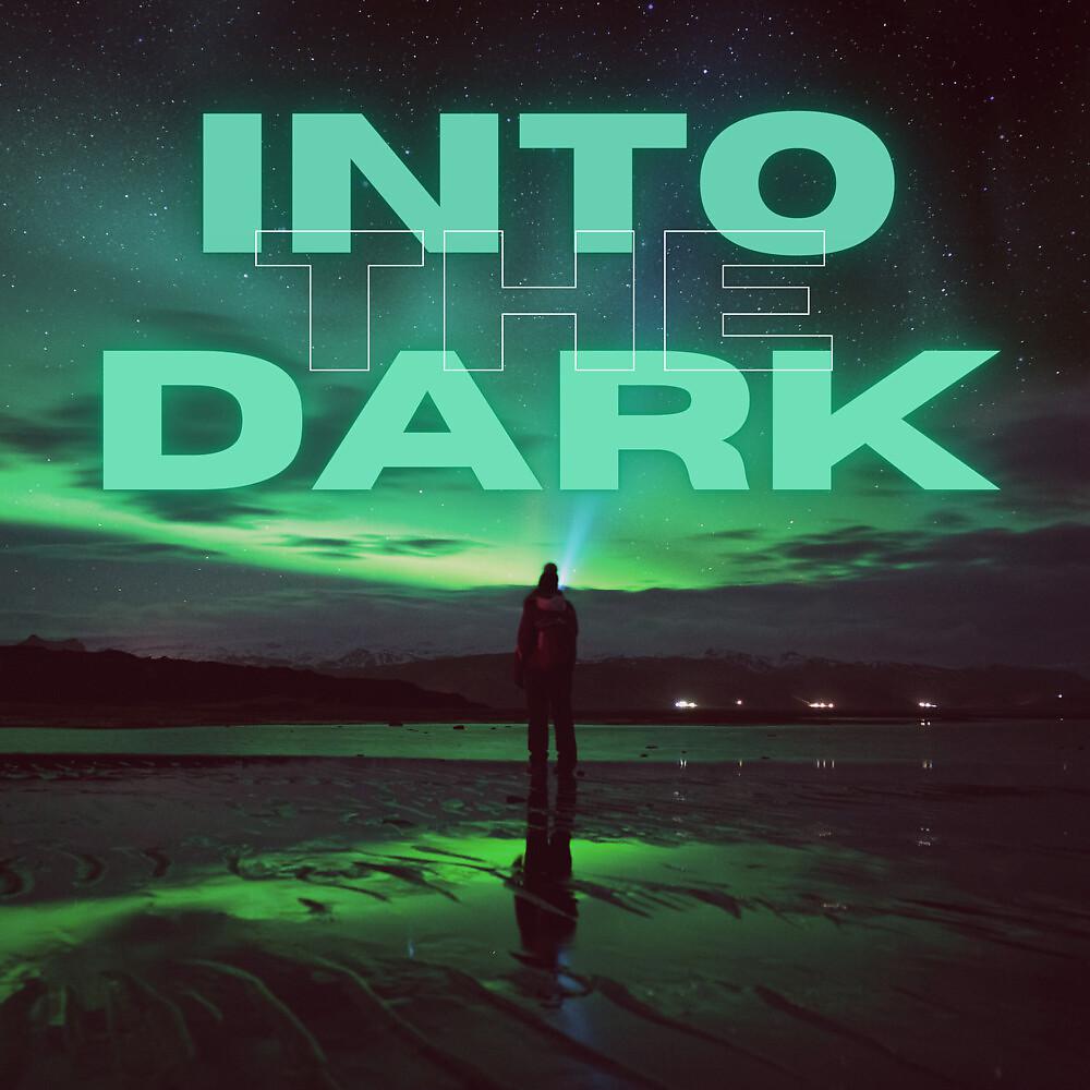 Постер альбома Into the Dark