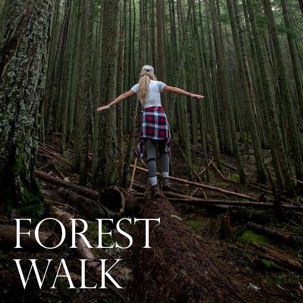 Постер альбома Forest Walk
