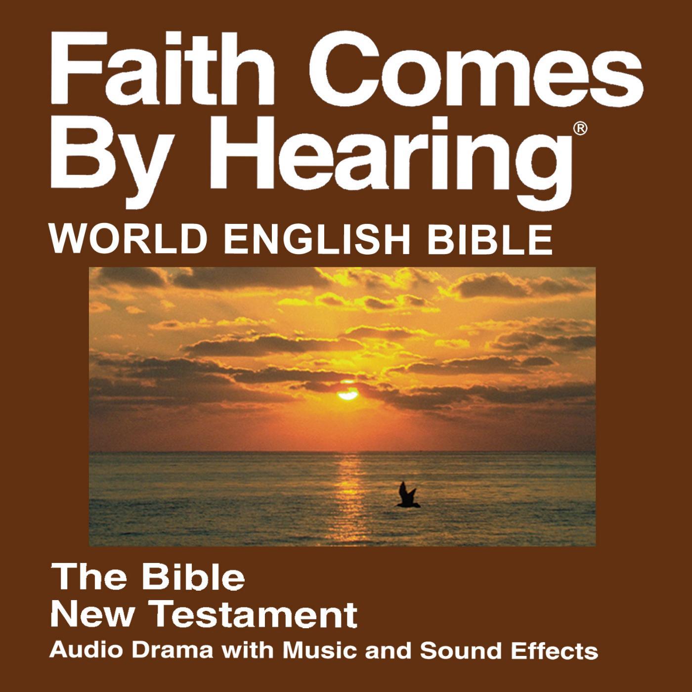 Постер альбома Web New Testament (Dramatized) - World English Bible