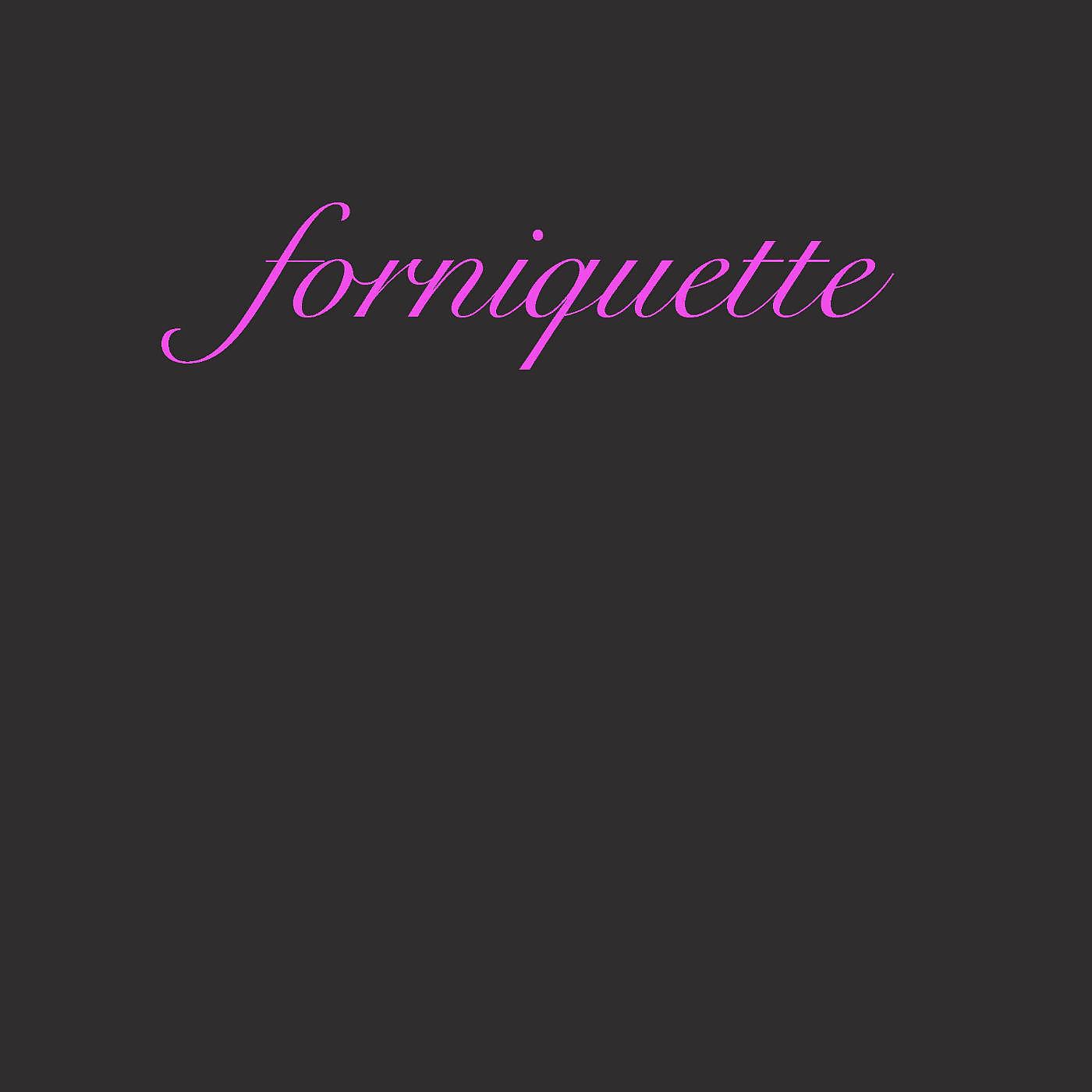 Постер альбома Forniquette