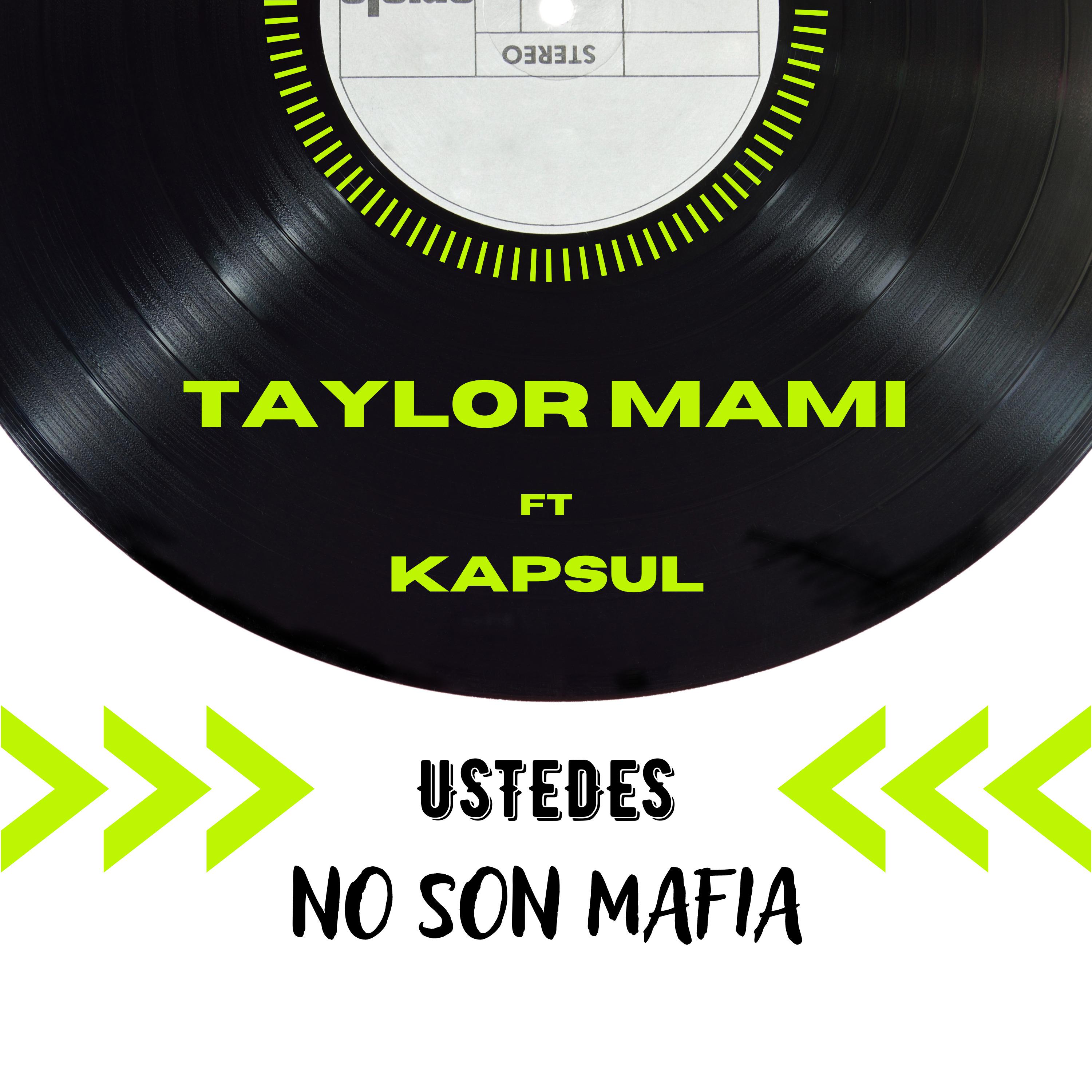Постер альбома Ustedes No Son Mafia