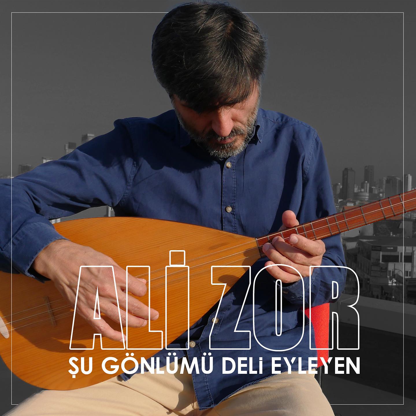 Постер альбома Şu Gönlümü Deli Eyleyen