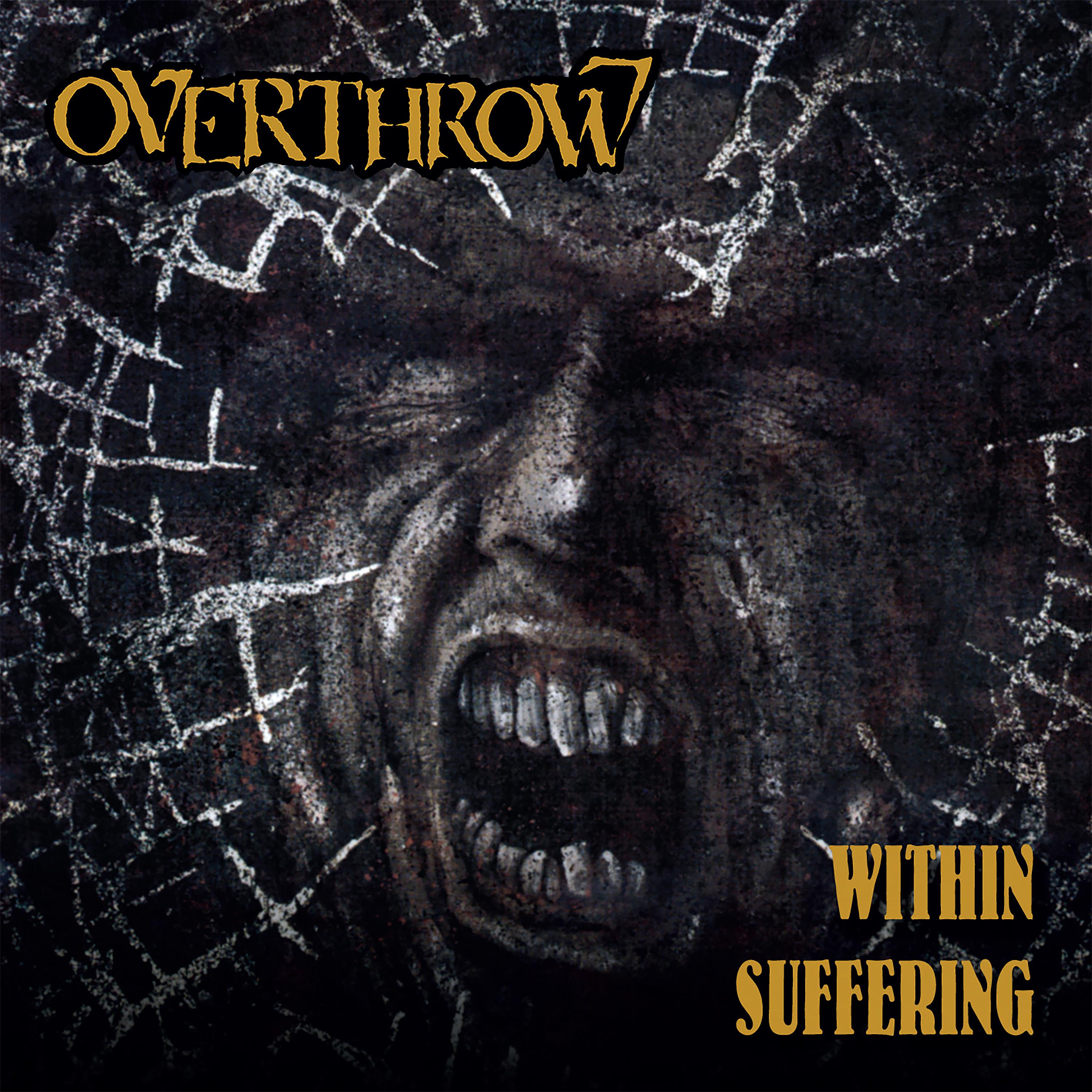 Постер альбома Within Suffering