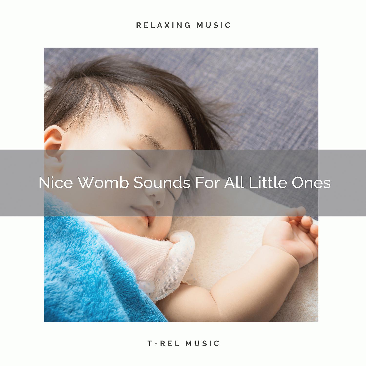 Постер альбома Nice Womb Sounds For All Little Ones
