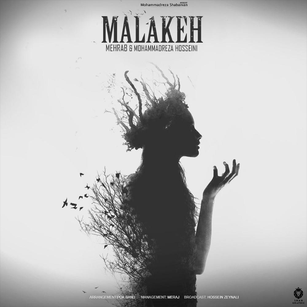 Постер альбома Malakeh