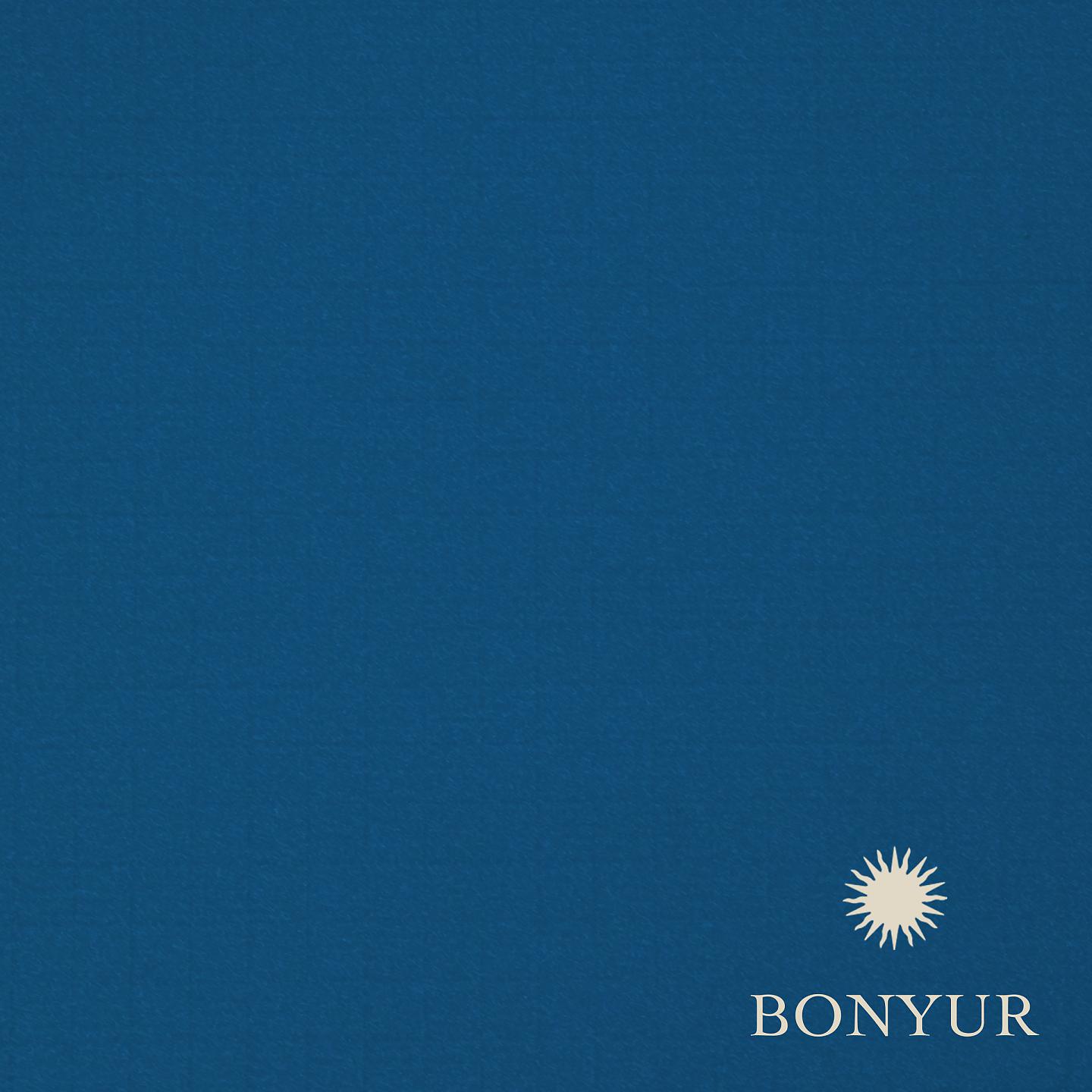 Постер альбома Bonyur