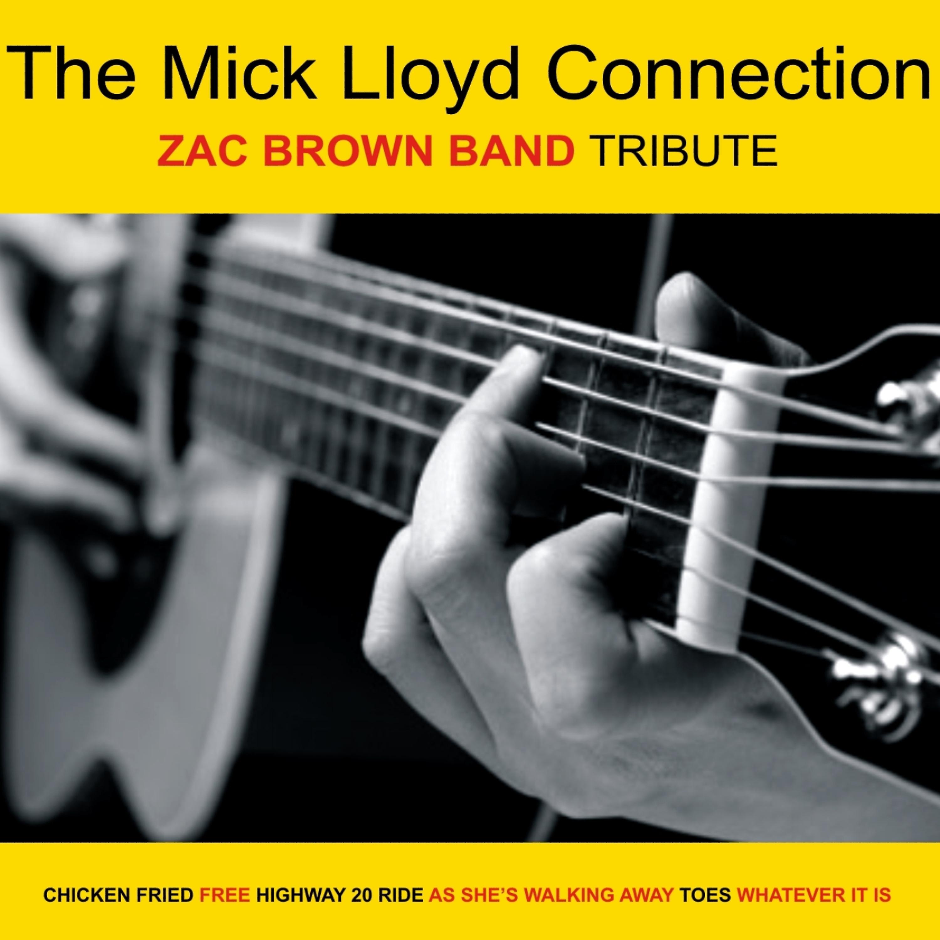 Постер альбома Zac Brown Tribute